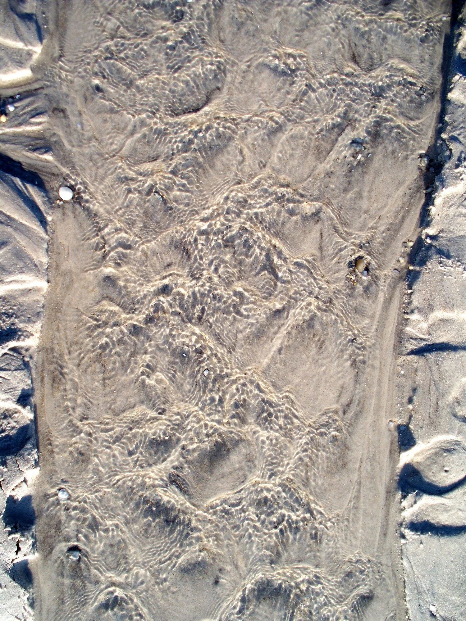 Close-up aerial view of rippled sand on a beach with small rocks and shells, and footprints on the side.