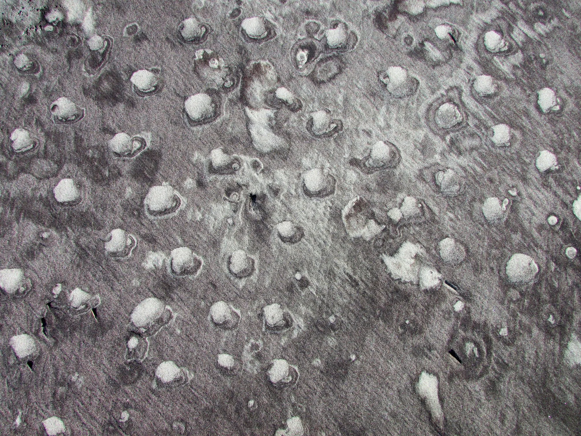 Close-up view of a lunar or planetary surface with numerous impact craters of varying sizes.