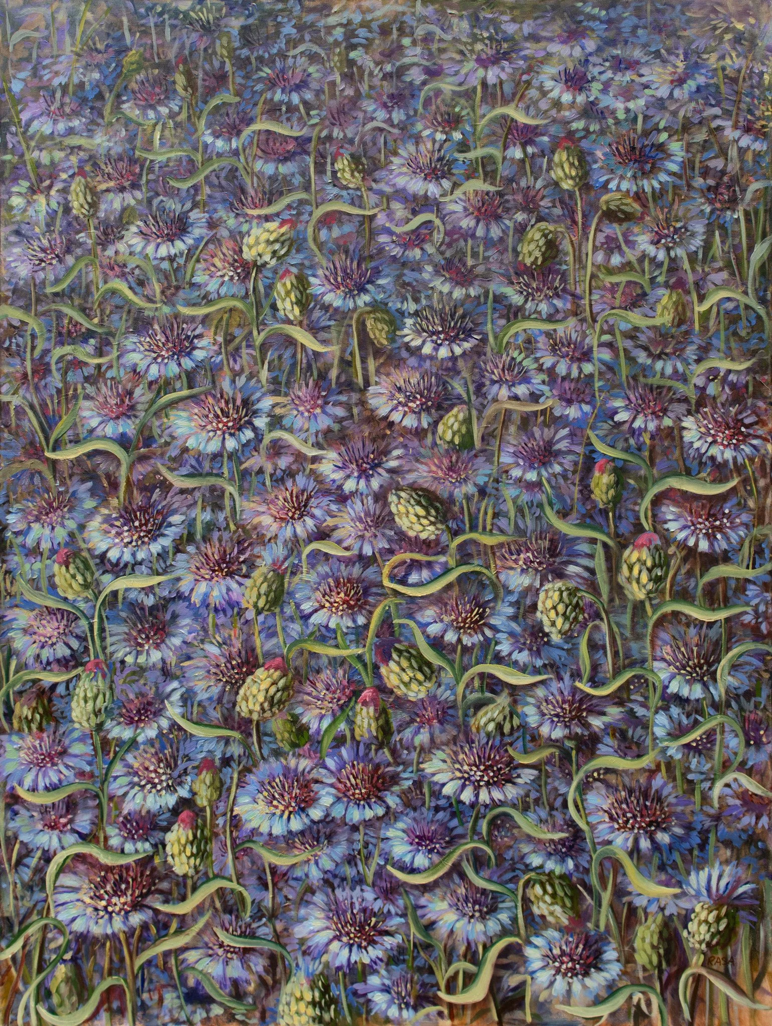 Cornflowers, Oil on canvas, 48x36