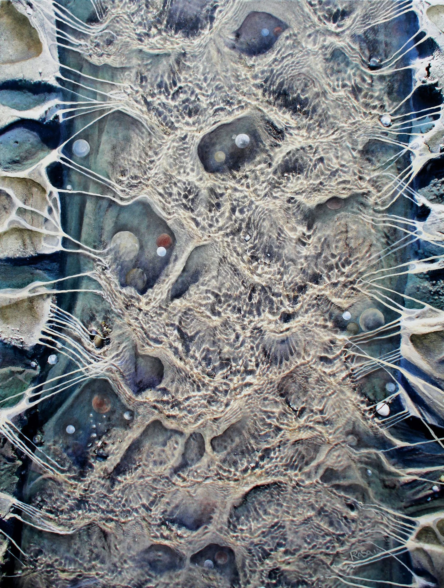 Close-up of a storm drain with water, black rocks, and spots of oil or soap on the surface