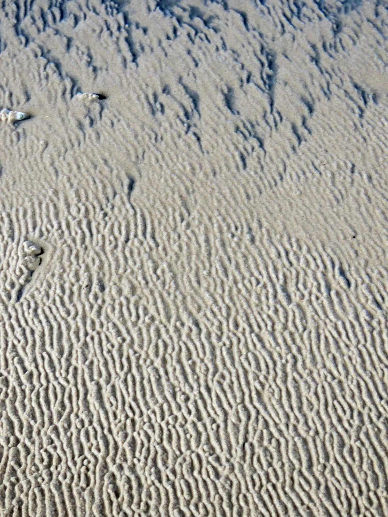 Close-up view of sand with small shells and intricate ripples formed by wind or water.