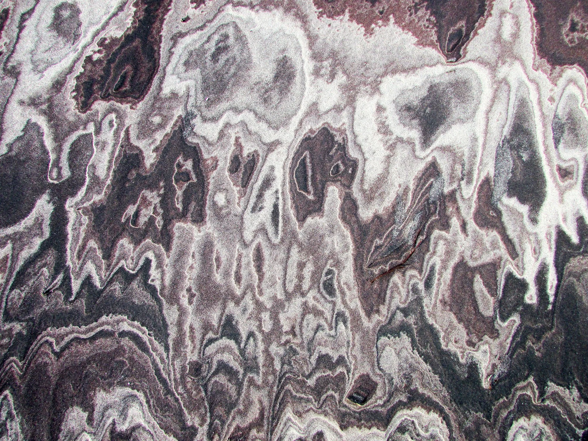 Close-up of a rock surface with intricate patterns and marbling in shades of black, white, and gray.