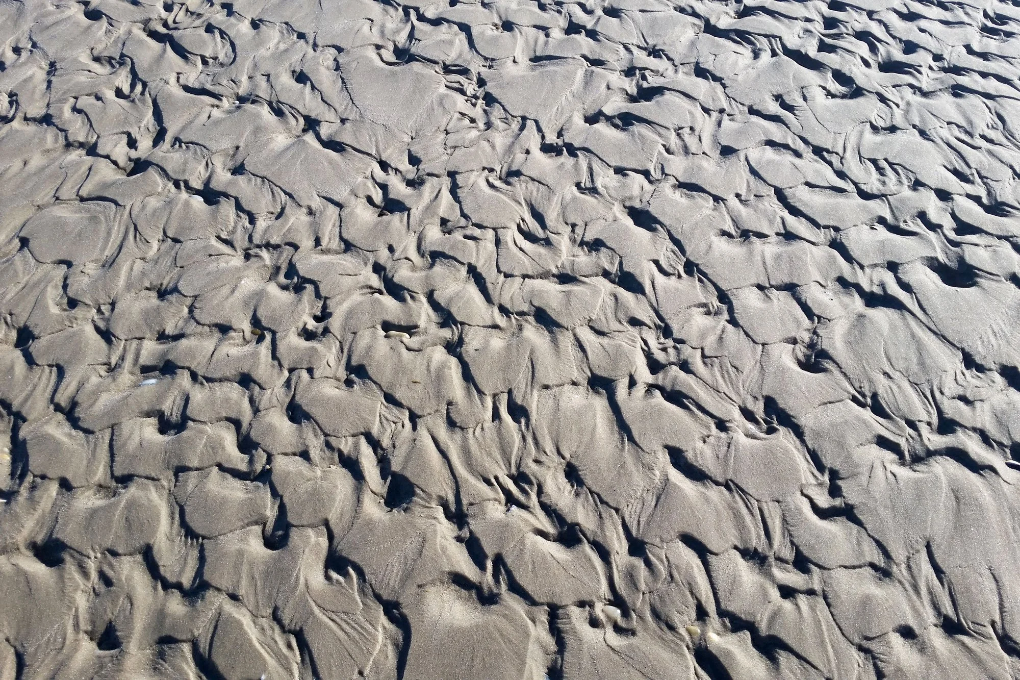 Close-up of wind-formed ripples and patterns in sandy beach sand.