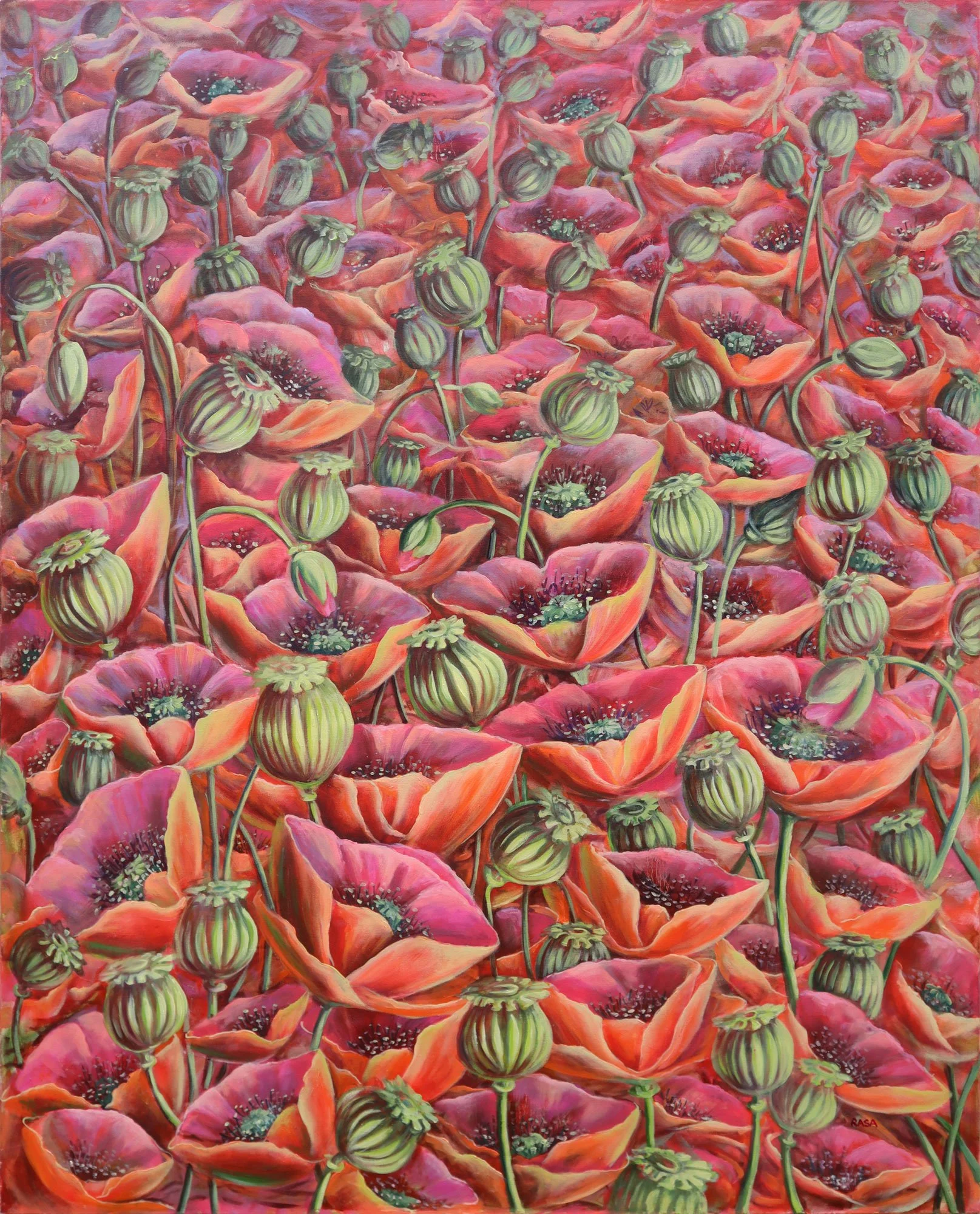 A painting of a dense field of pink and orange poppies with green buds, leaves, and stems.