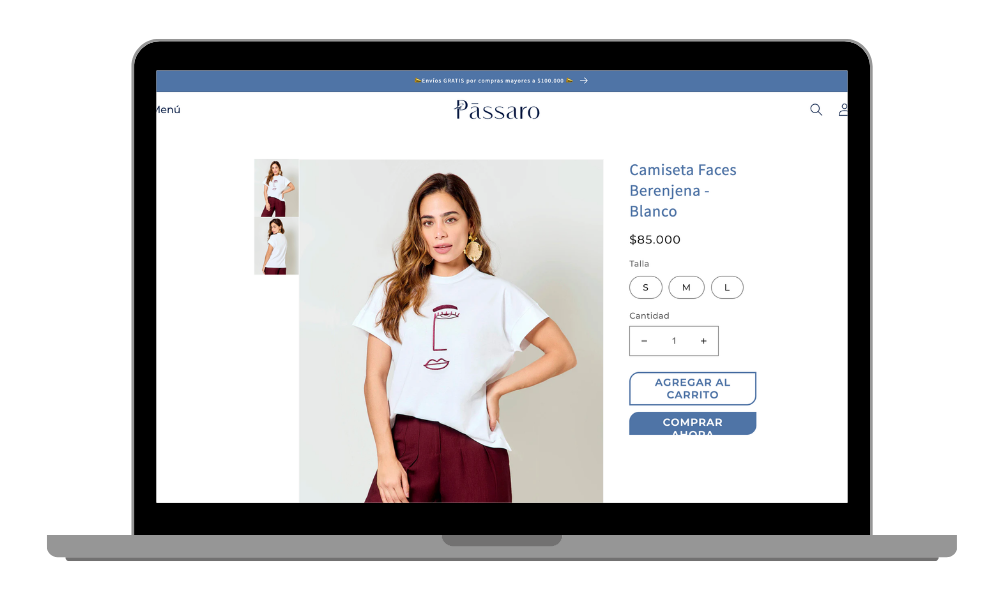 Página web Pássaro - Antes 3