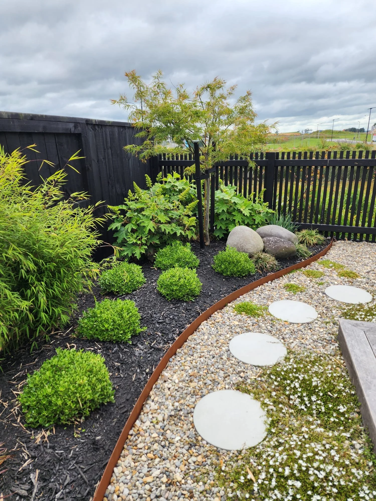 A landscaped garden with a curved border, small green shrubs, a multi-trunk tree, large rocks, and a gravel pathway with white stepping stones, enclosed by a black fence and overcast sky.