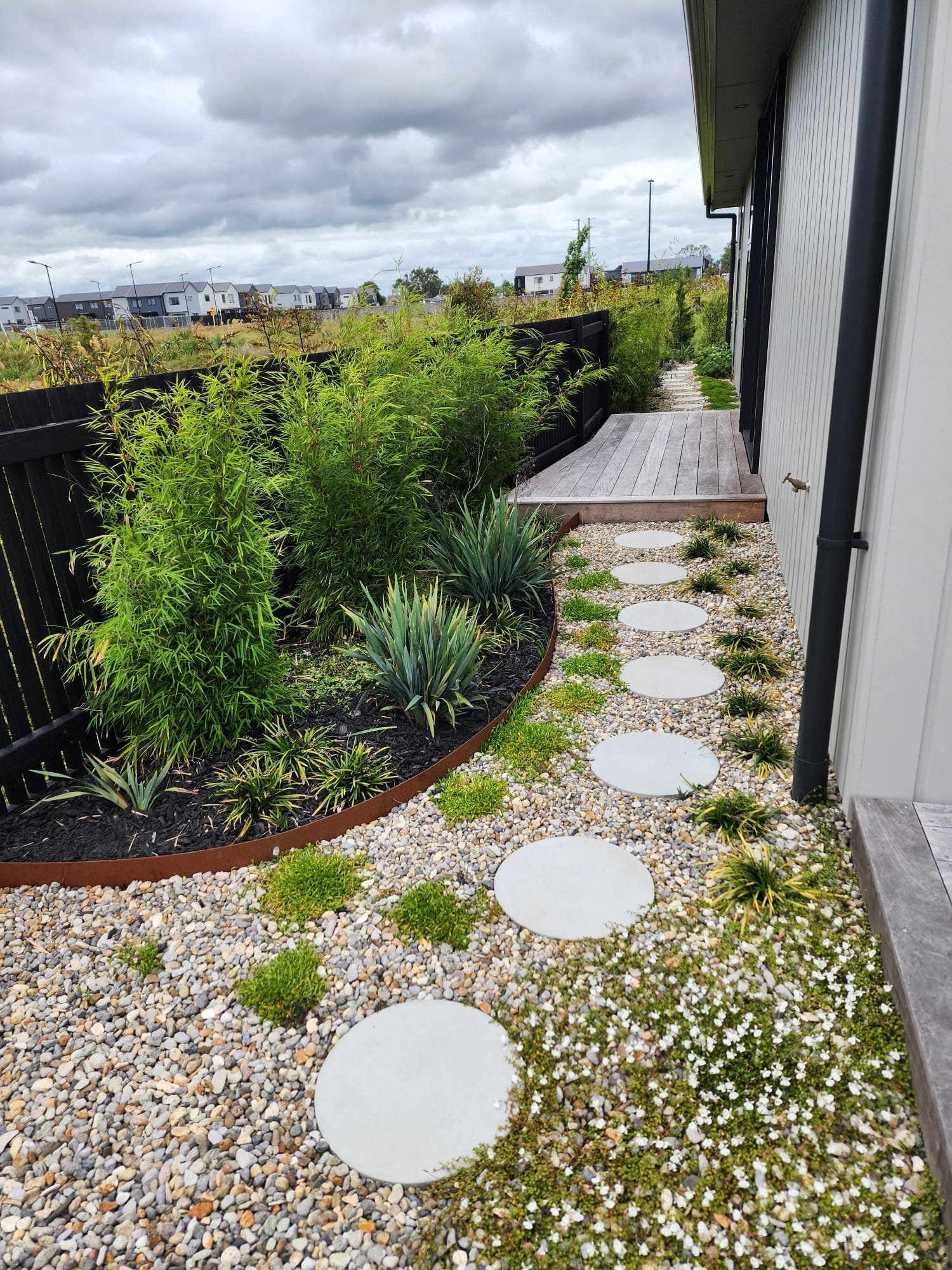A landscaped backyard with a pebble pathway, round stepping stones, and lush green plants, including tall leafy bushes and smaller ground cover plants, with a black wooden fence and a cloudy sky in the background.