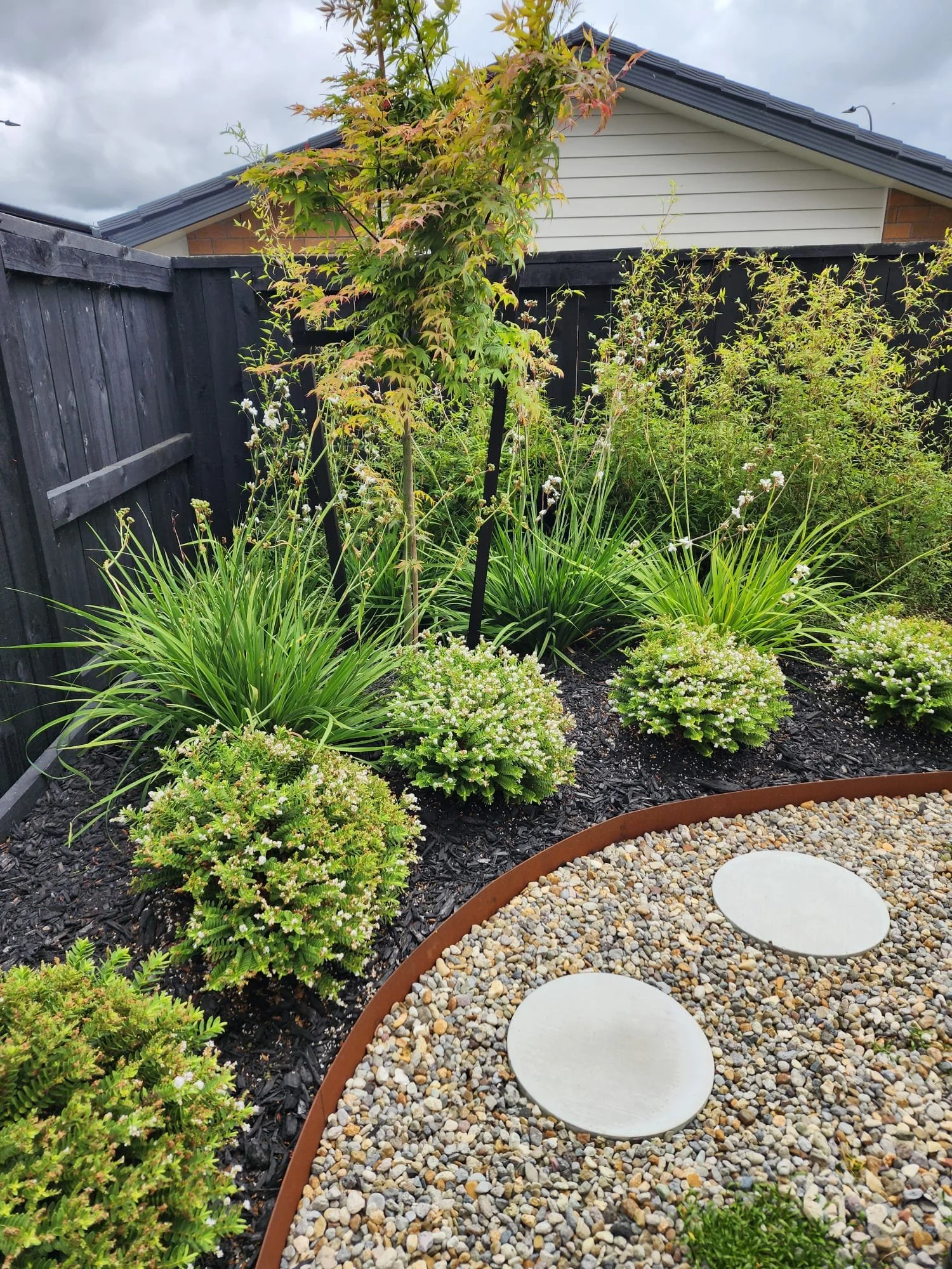 A well-manicured garden with small bushes, taller greenery, and a young tree. The garden is bordered by black mulch and a metal edging, with a pebble path featuring two large round stepping stones.