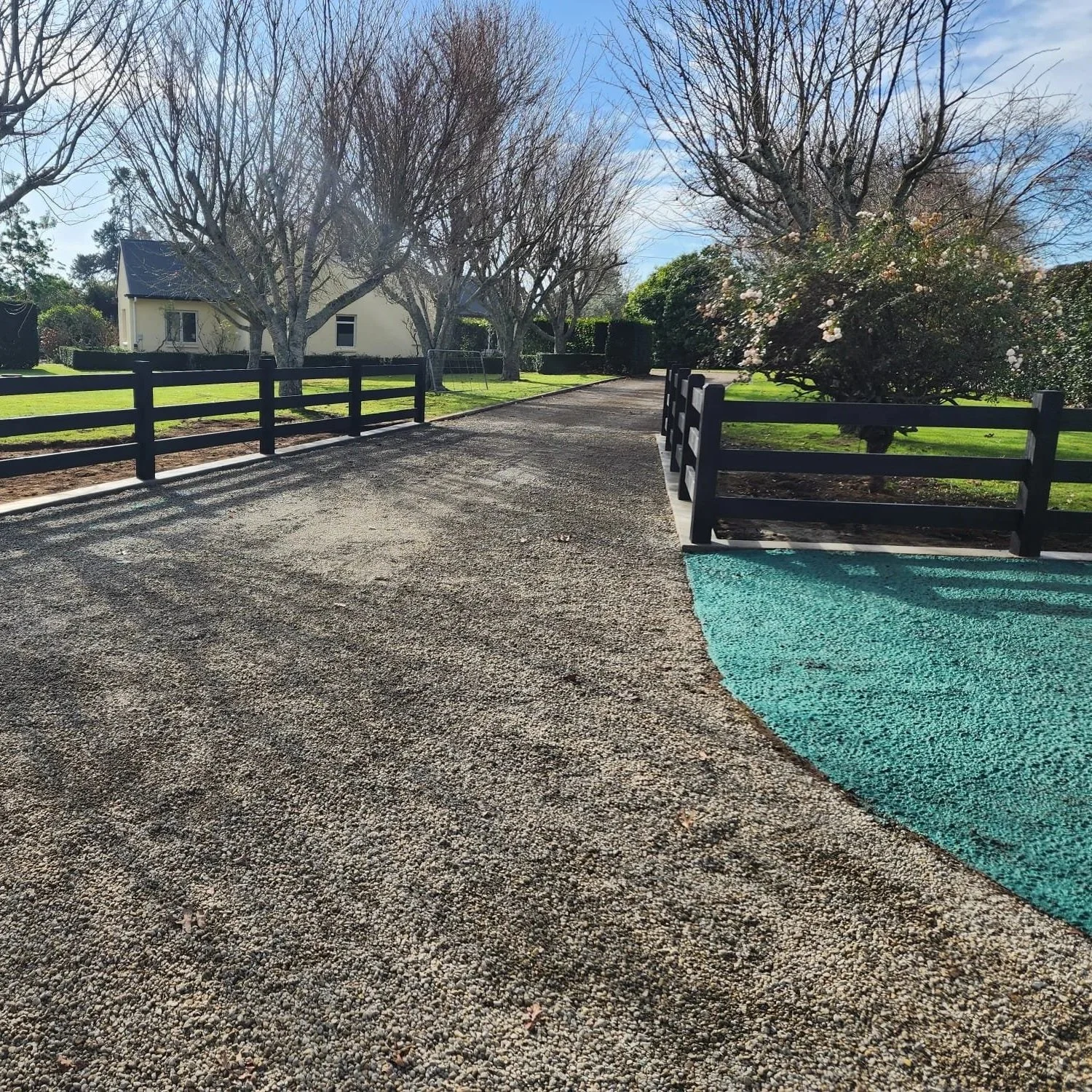Hydroseeding bordering a driveway.