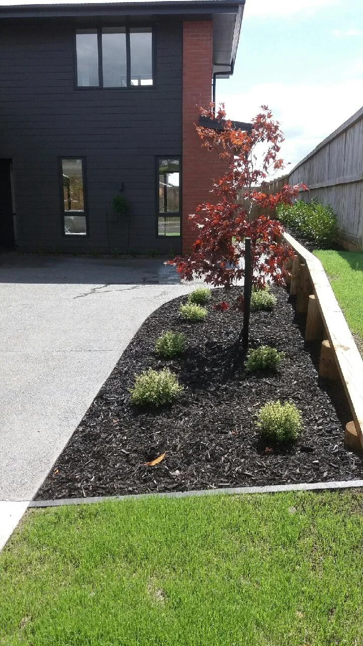 A small landscaped area with a young red-leafed tree, several small green shrubs, and mulch, bordered by a wooden edge, next to a concrete driveway and a grassy lawn in front of a modern black and brick residential building.