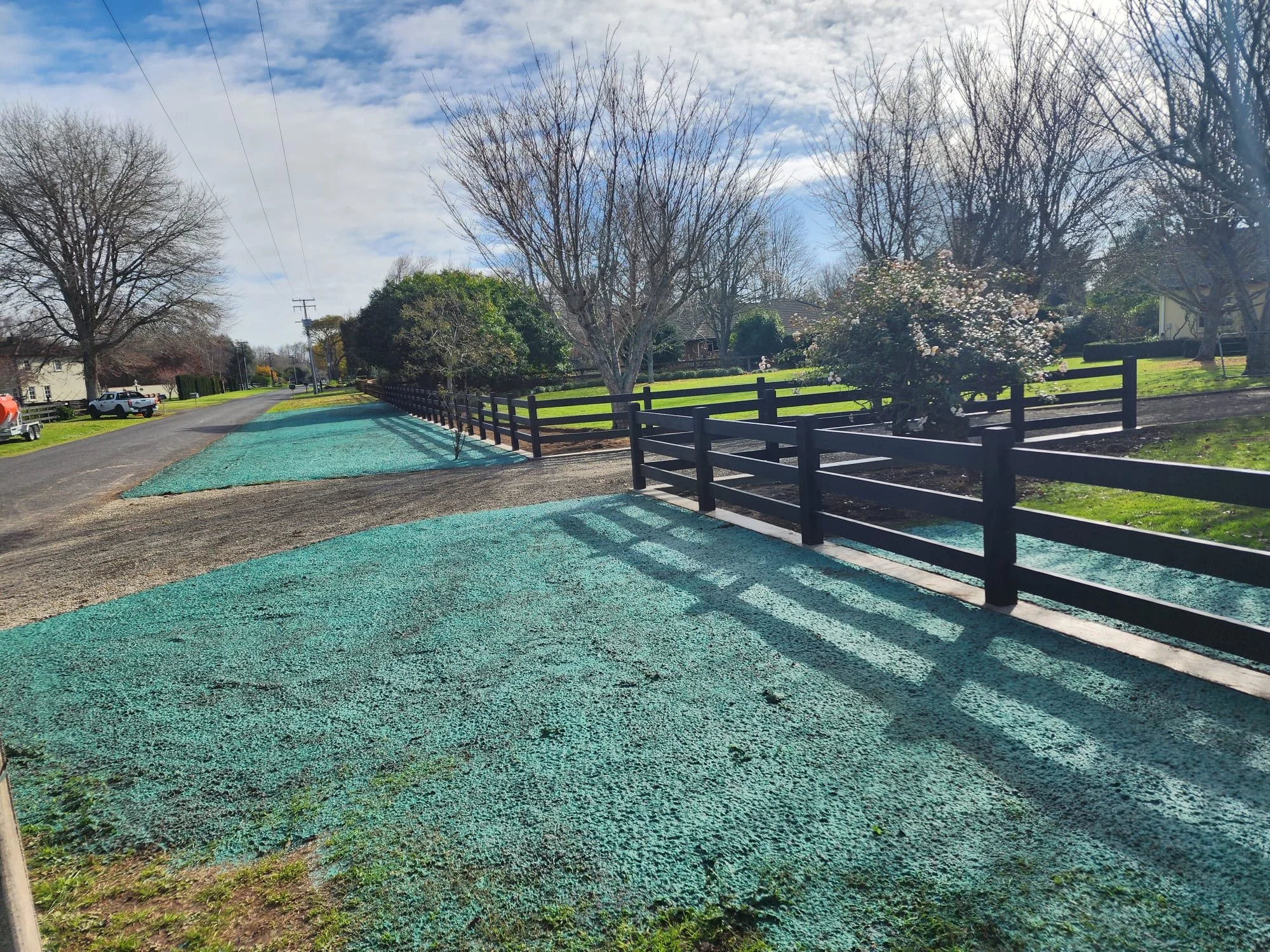 Sidewalk with teal-colored textured surface, black wooden fence, leafless trees, and a small flowering bush in a suburban neighborhood.