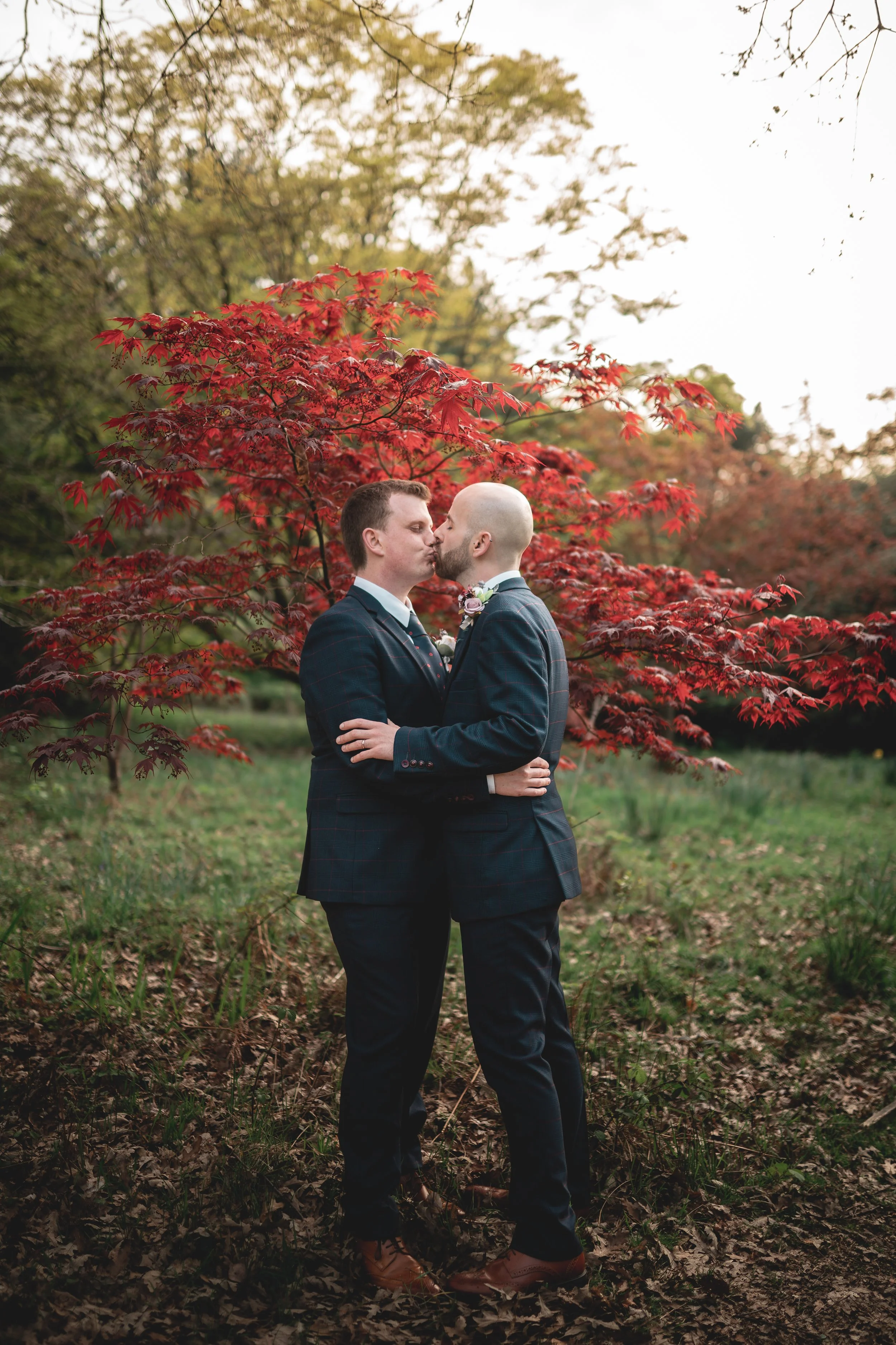 Two men in suits kissing outdoors in front of a red maple tree during fall.
