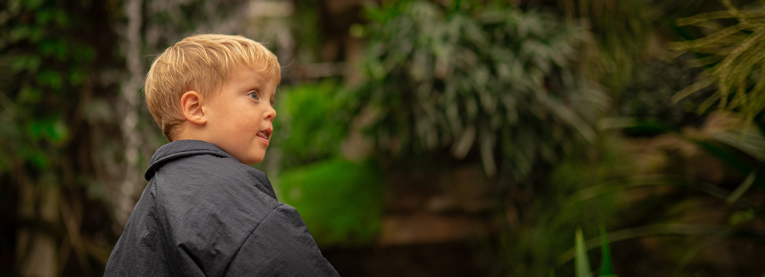 A young boy with blond hair and a gray jacket, looking to the left with a thoughtful expression, outdoors with green foliage in the background.