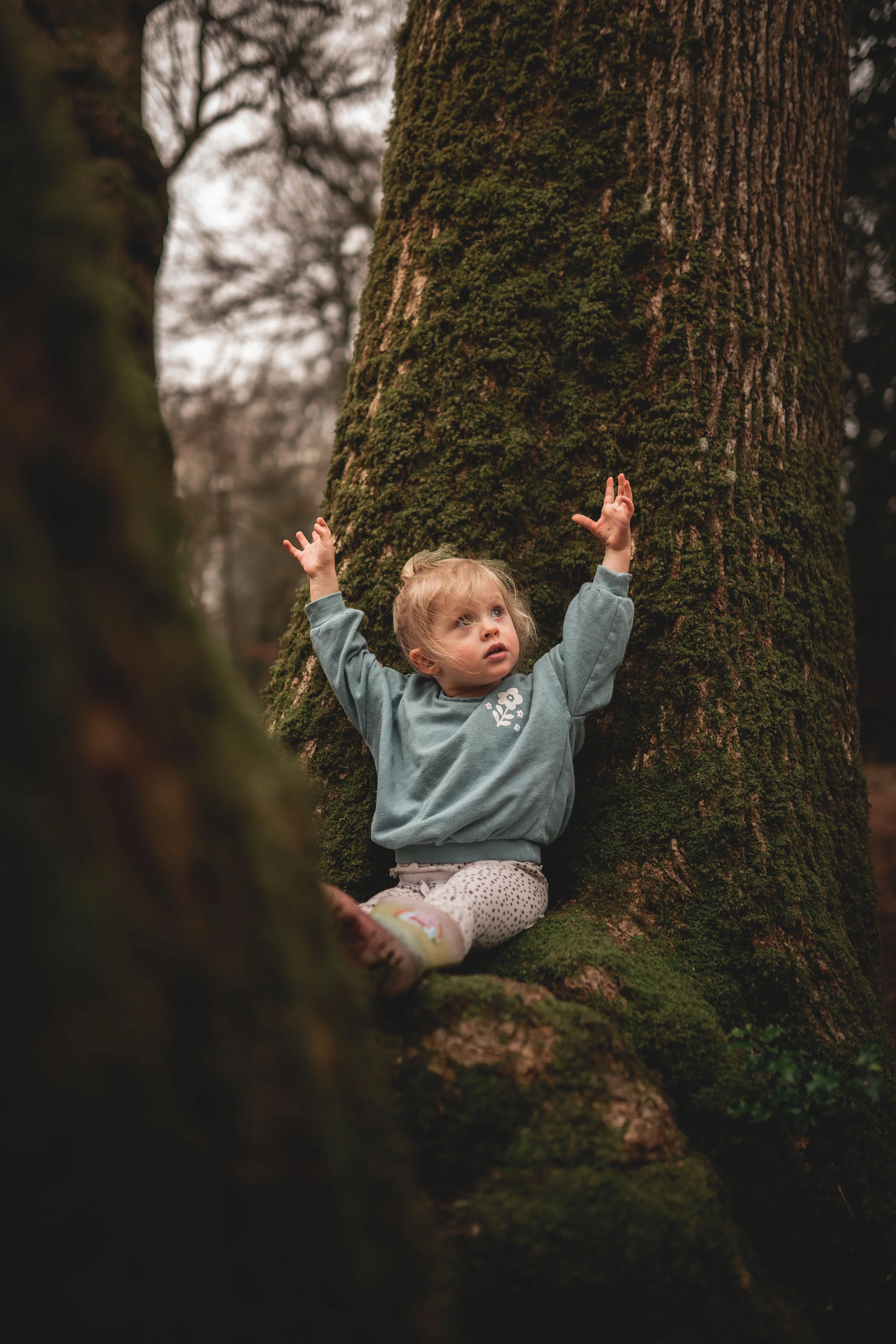 Young girl sitting on a moss-covered tree branch, reaching up with both arms, in a forest with tall trees.