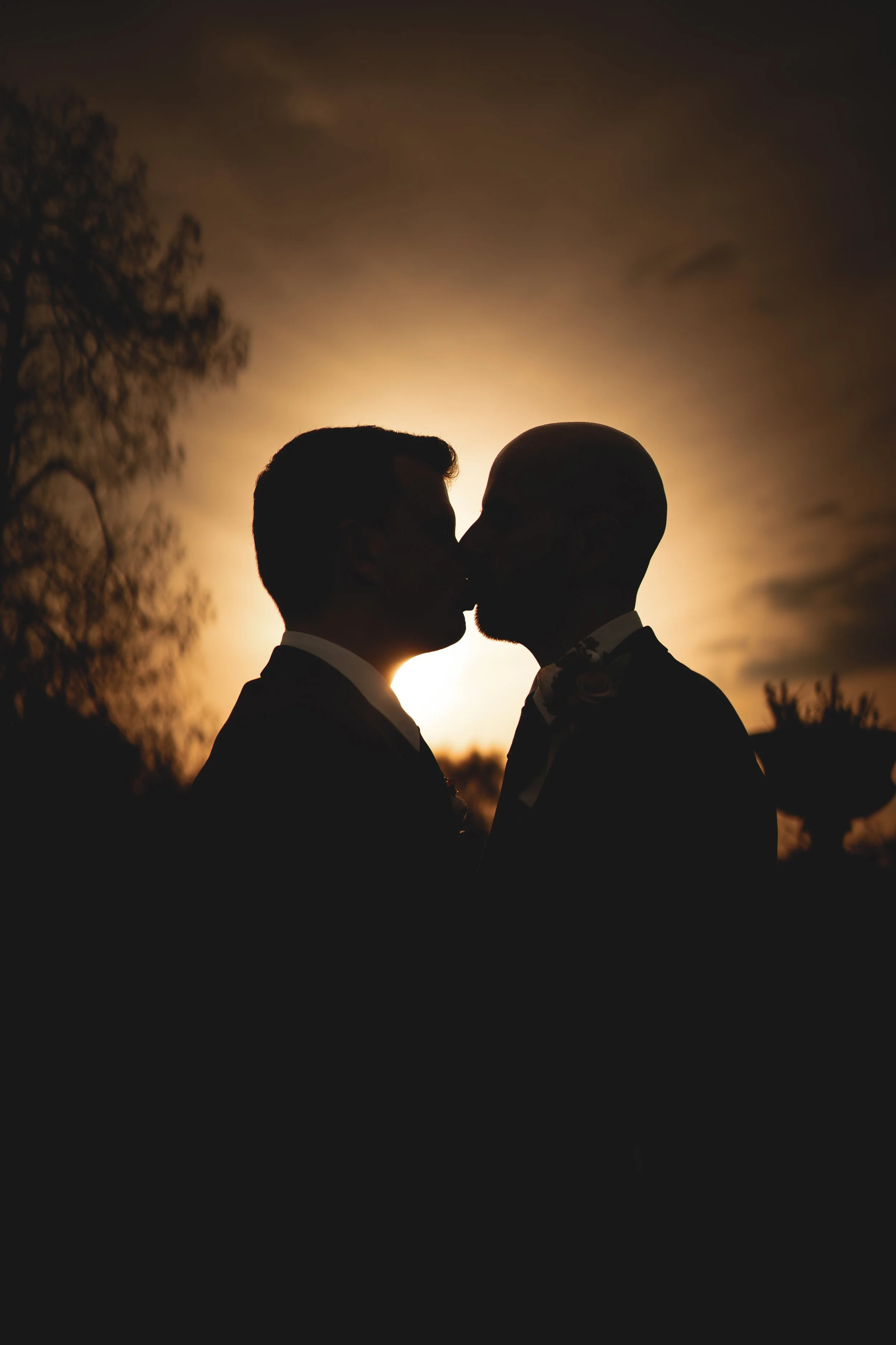 Silhouette of two men kissing during sunset, with trees and cloudy sky in the background.