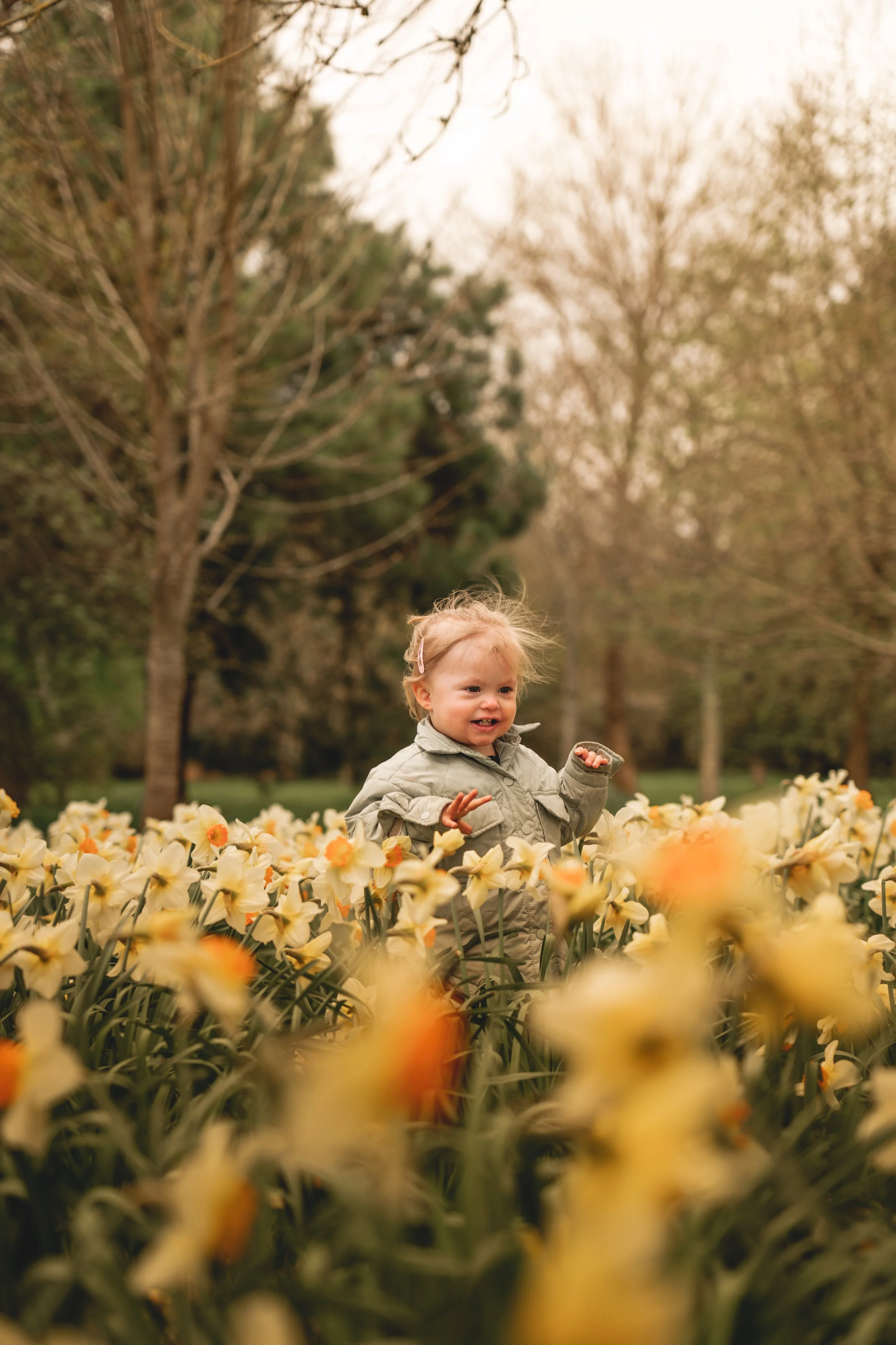 A young girl with blonde hair in a jacket standing in a field of blooming daffodils, with trees in the background.