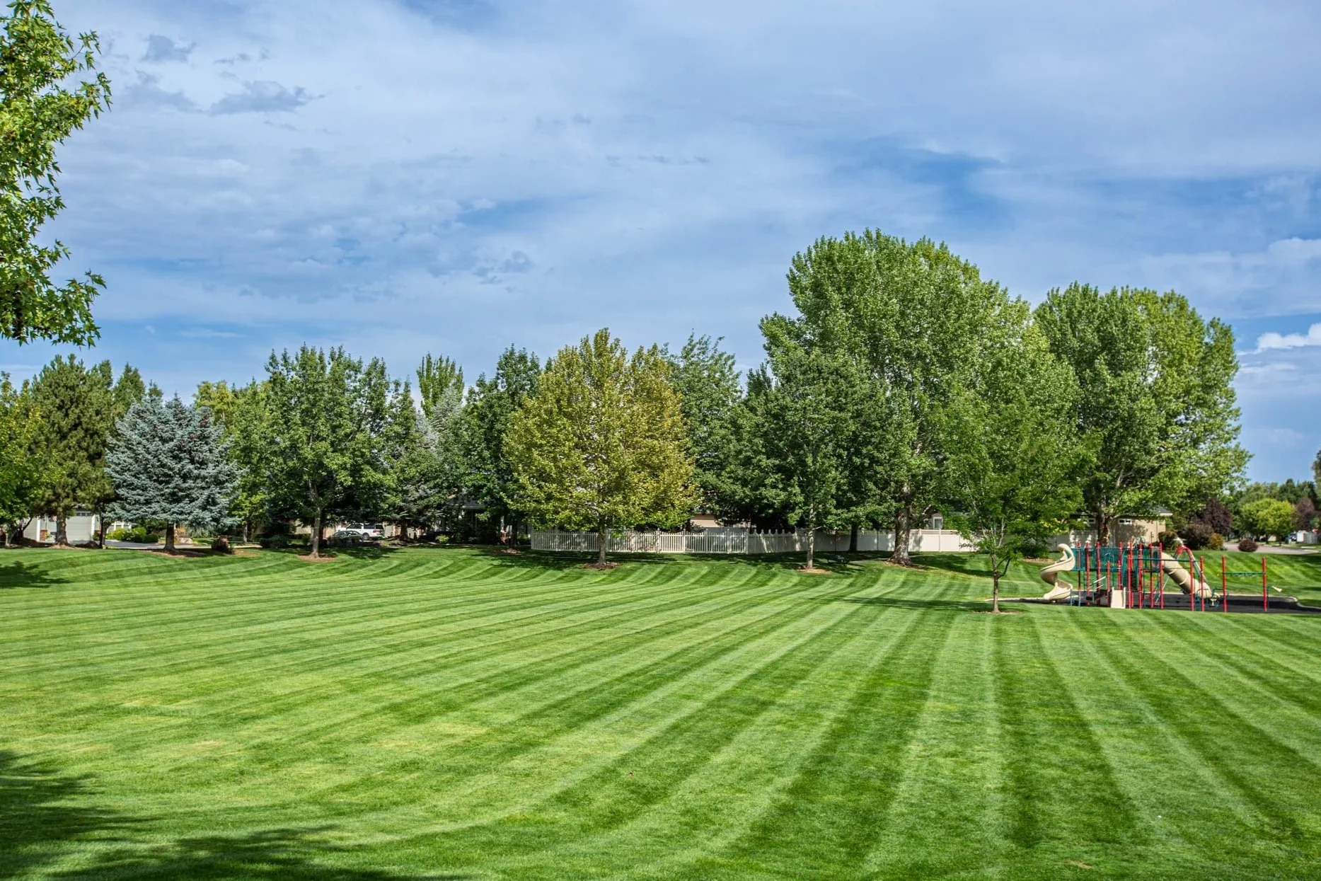 HOA Landscape & Property Maintenance