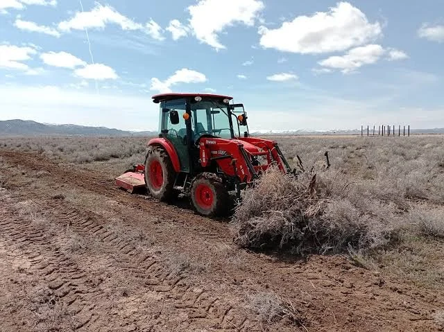 Property and Land clearing