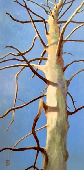 Bare Pine