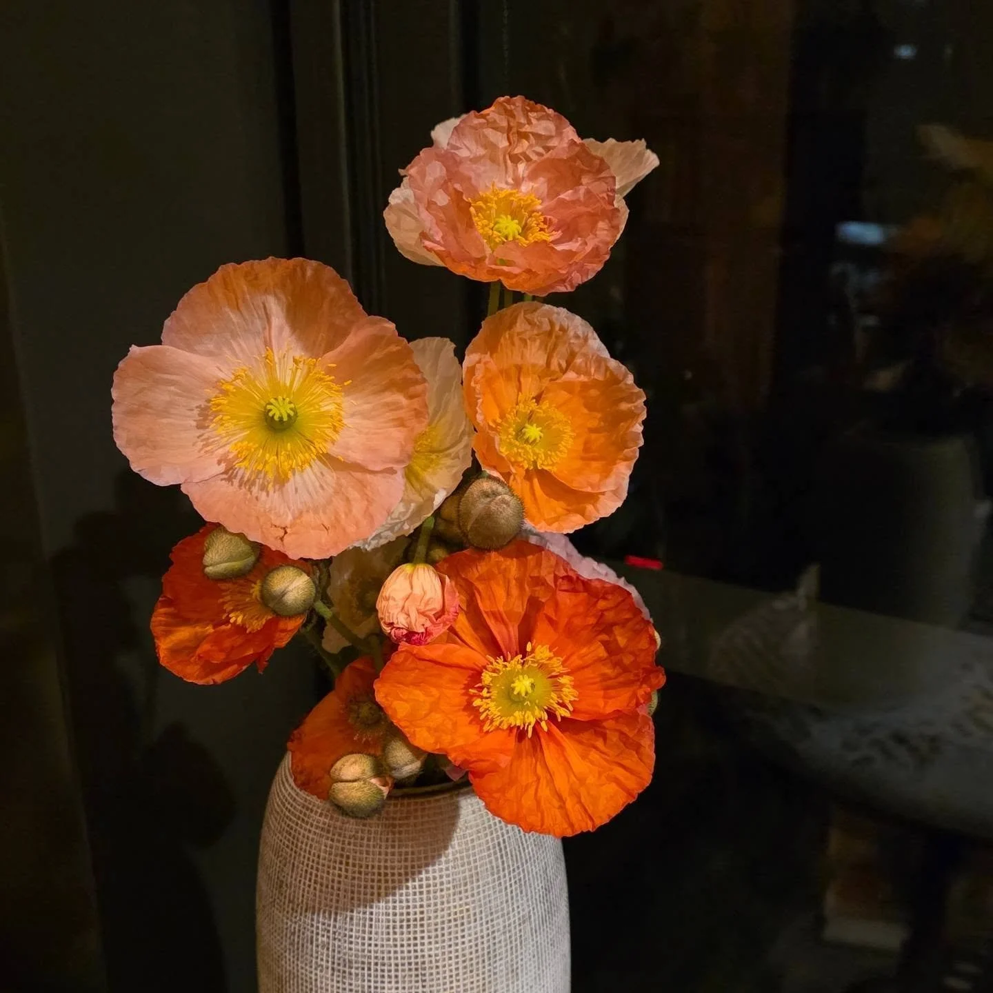 Fresh poppies 🥰 Every time I'm gifted flowers now I have to paint them and these are so gorgeous