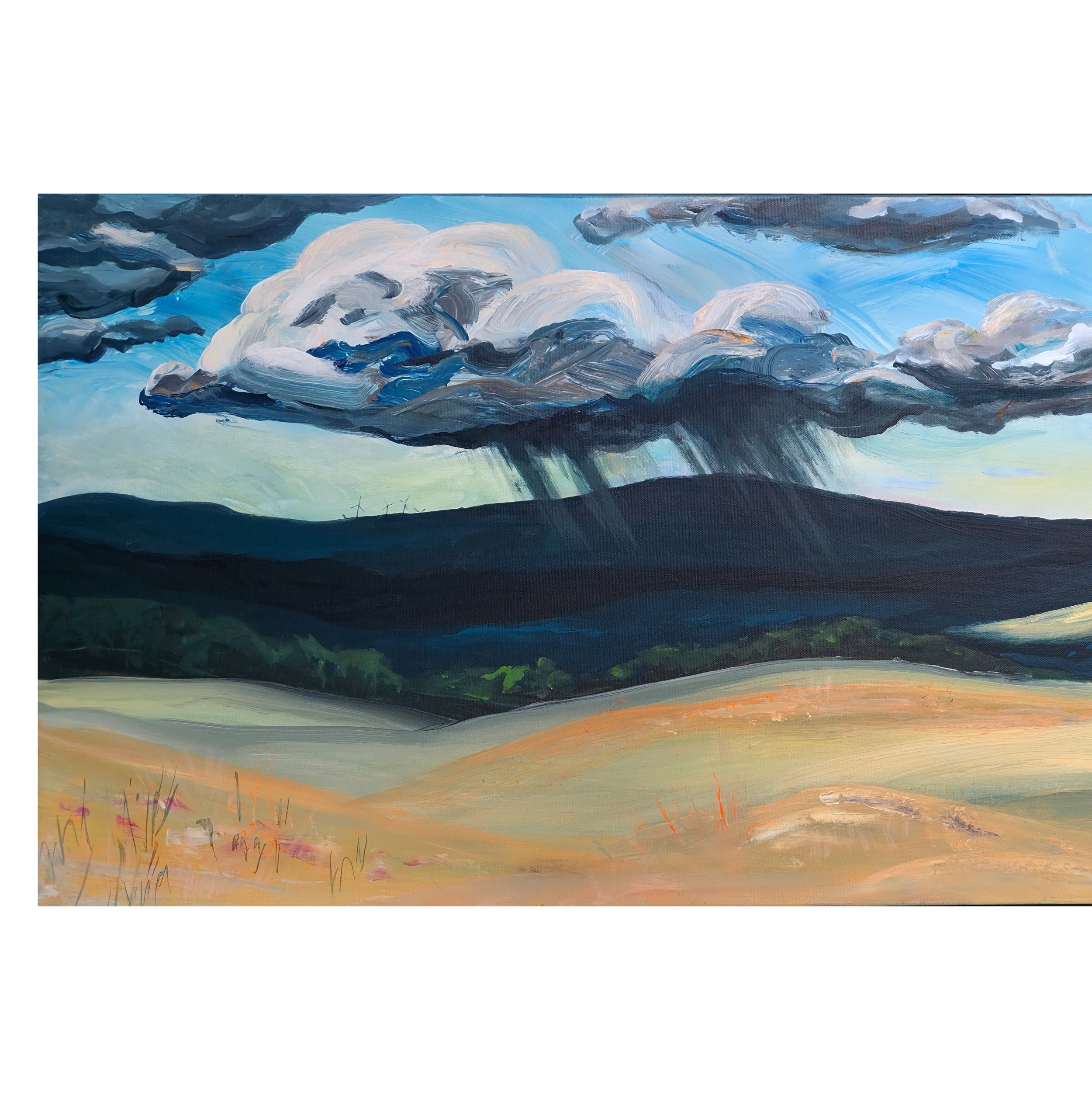 2025 The rolling Snowy Mountains border L.jpg