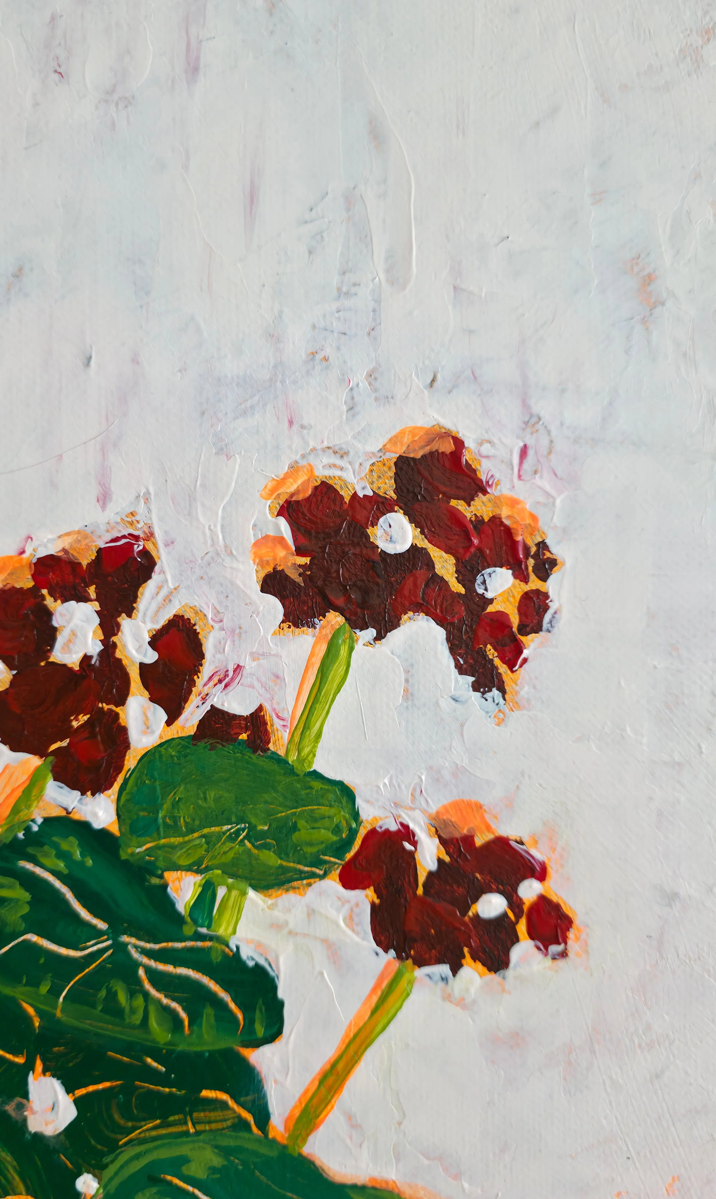 2025 Japanese geranium (6).jpg