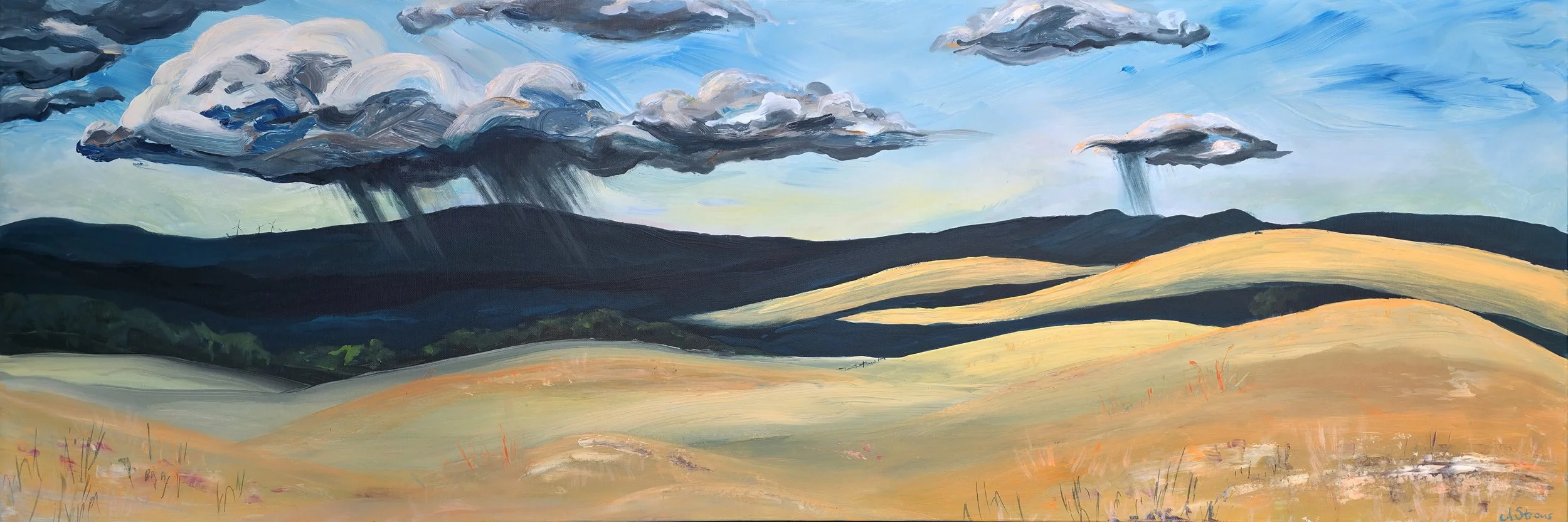 The rolling Snowy Mountains
