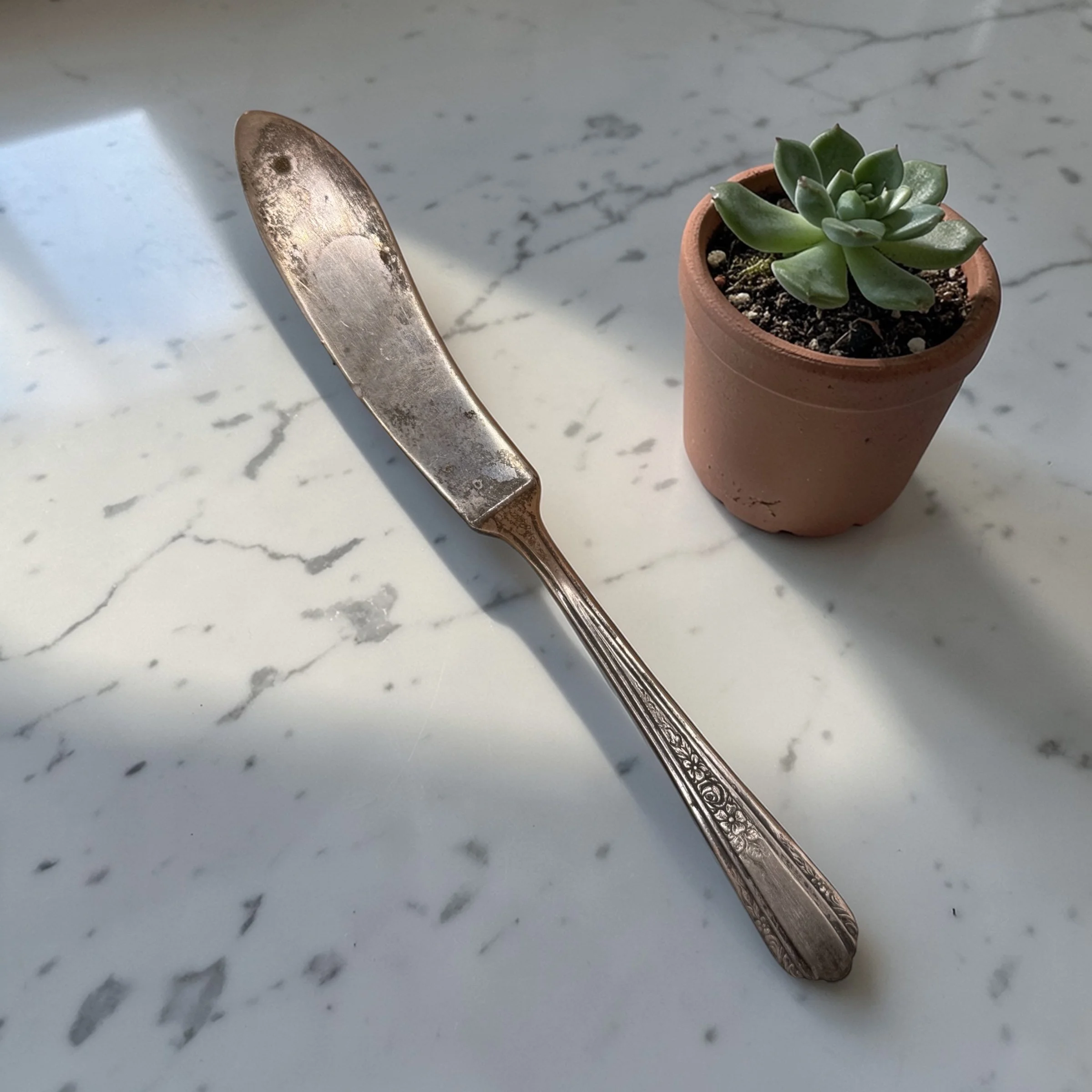 Gertrude's Gardenias