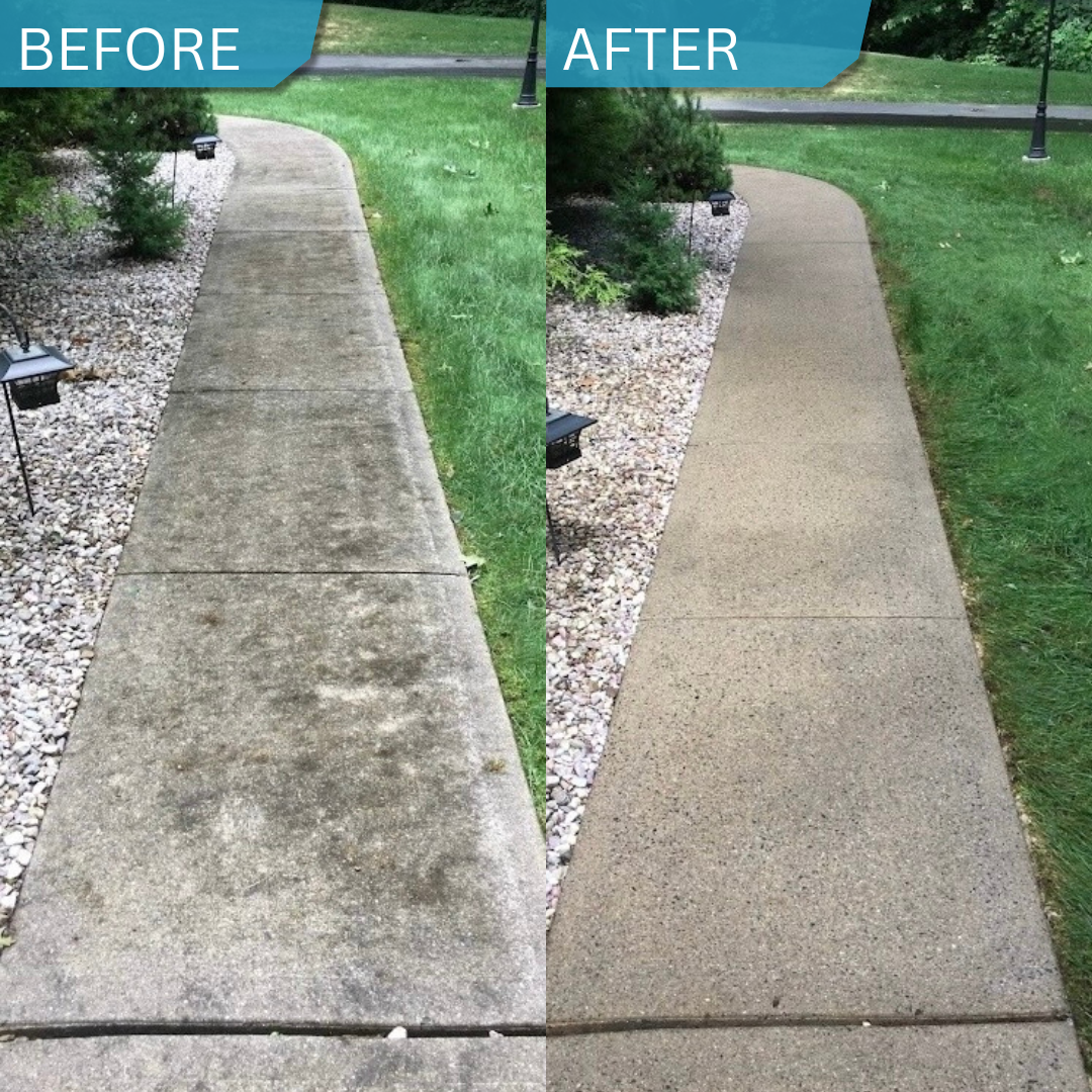 A concrete sidewalk in a park with grass and bushes on either side, and a lamp post in the background.