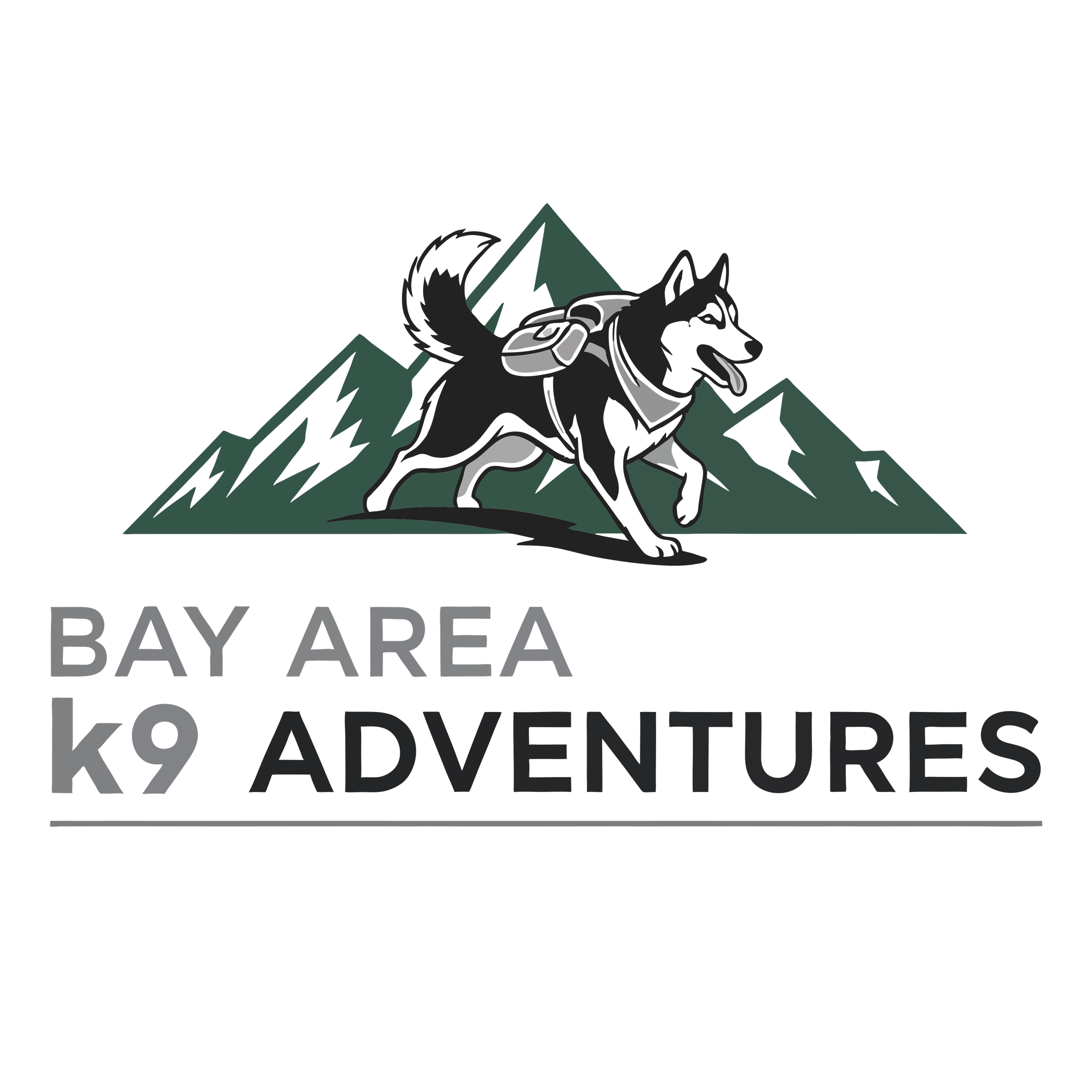 2-3 Hour Adventure
