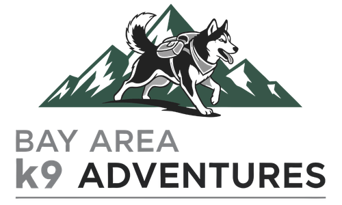 Bay Area K9 Adventures