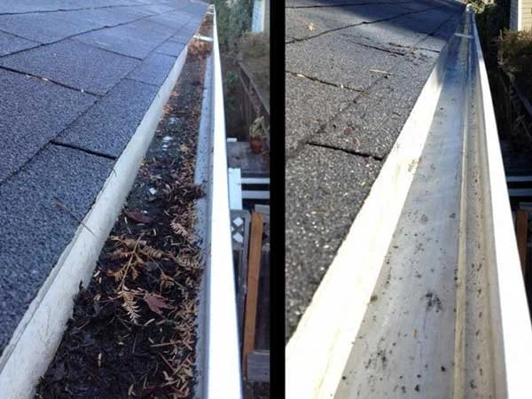 Gutter Cleaning.jpg