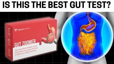 Vibrant Health Gut Zoomer Test