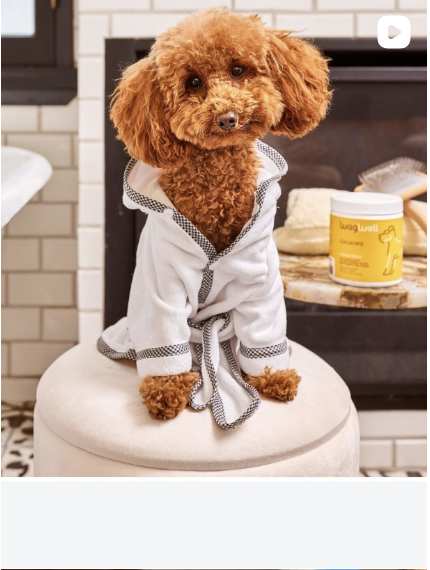 Screenshot 2026-03-01 at 5.51.46 PM.png