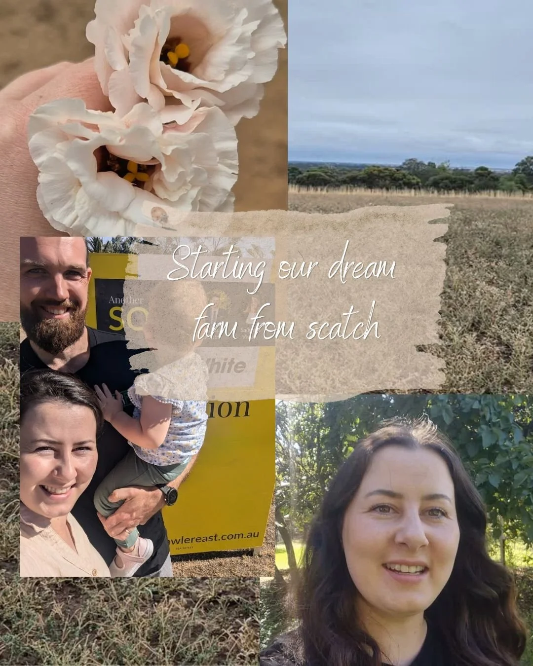 I've started a Youtube channel 

As we begin the journey of relocating and rebuilding our flower farm, I wanted a place to share the whole process. 

We will be sharing behind the scenes of building and growing cut flowers. Introducing bees and learn