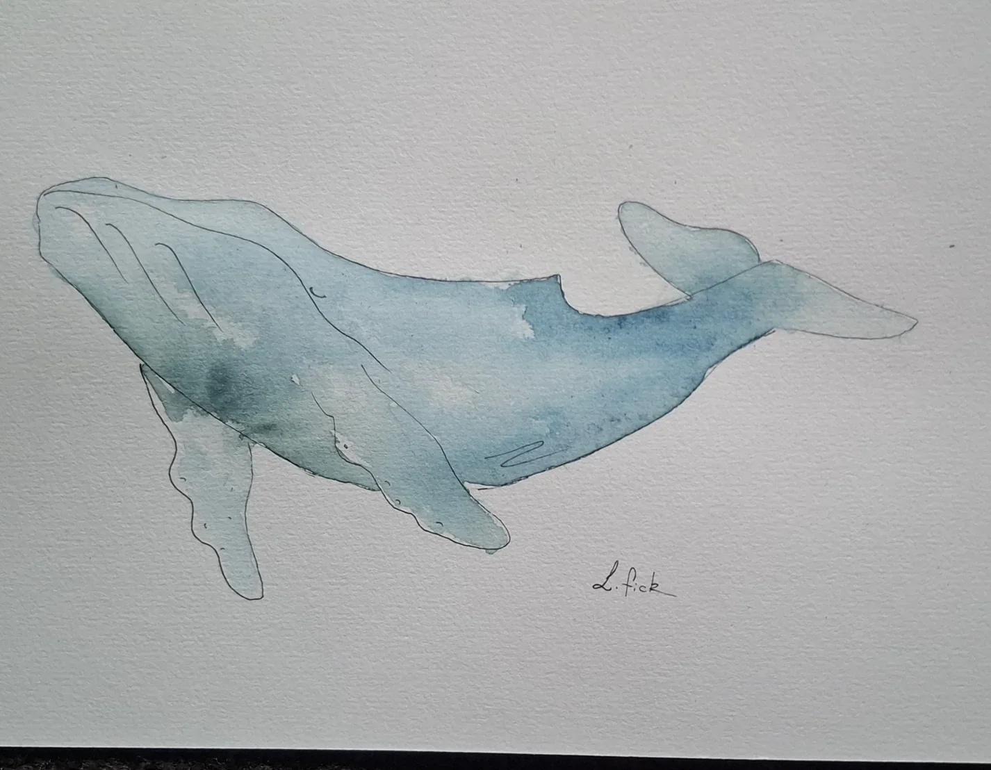 watercolour humpback whale