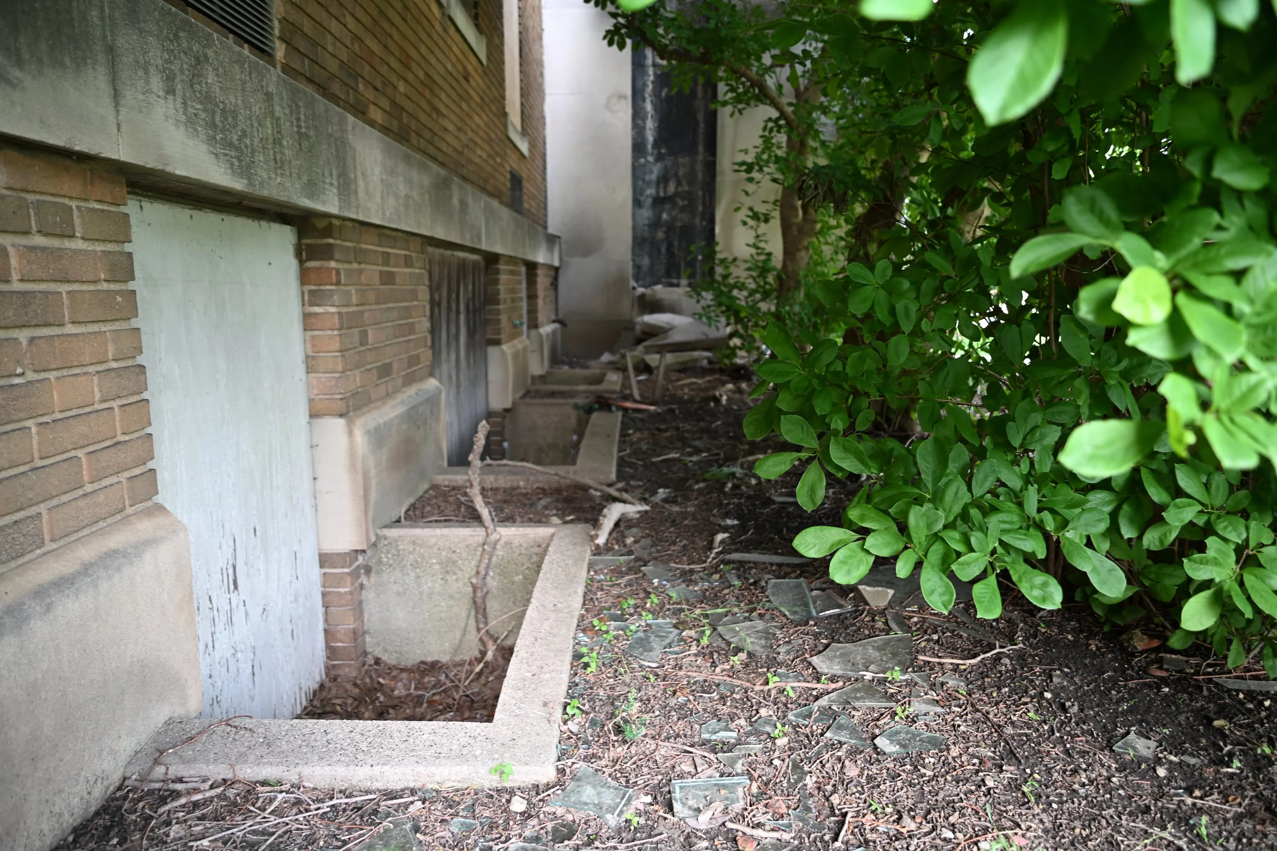 DSC_5296.JPG