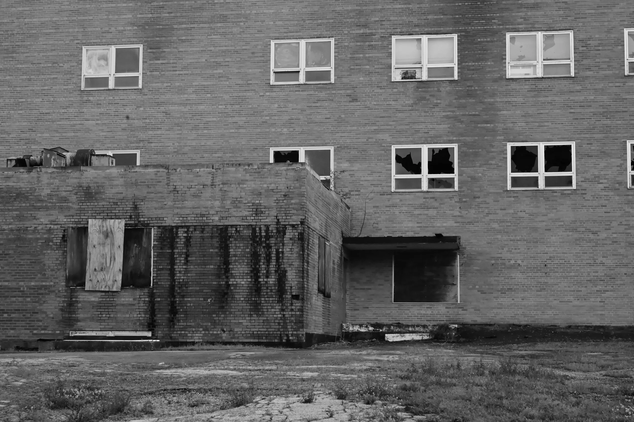 DSC_5095.JPEG