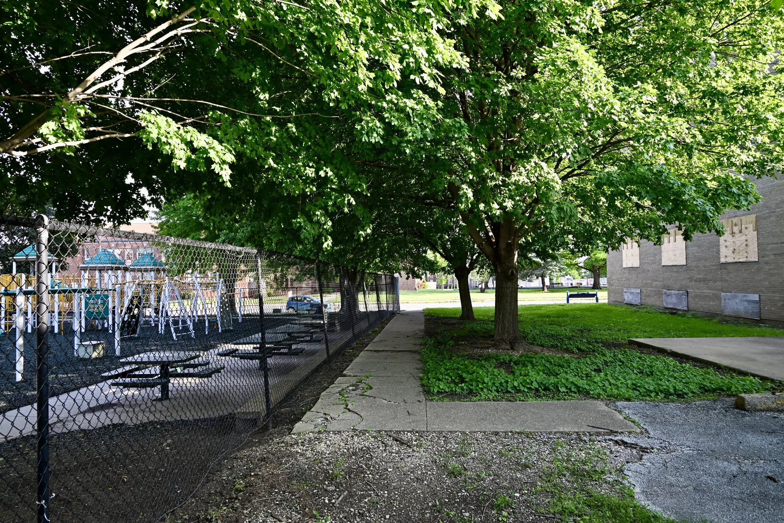 DSC_5209.jpg