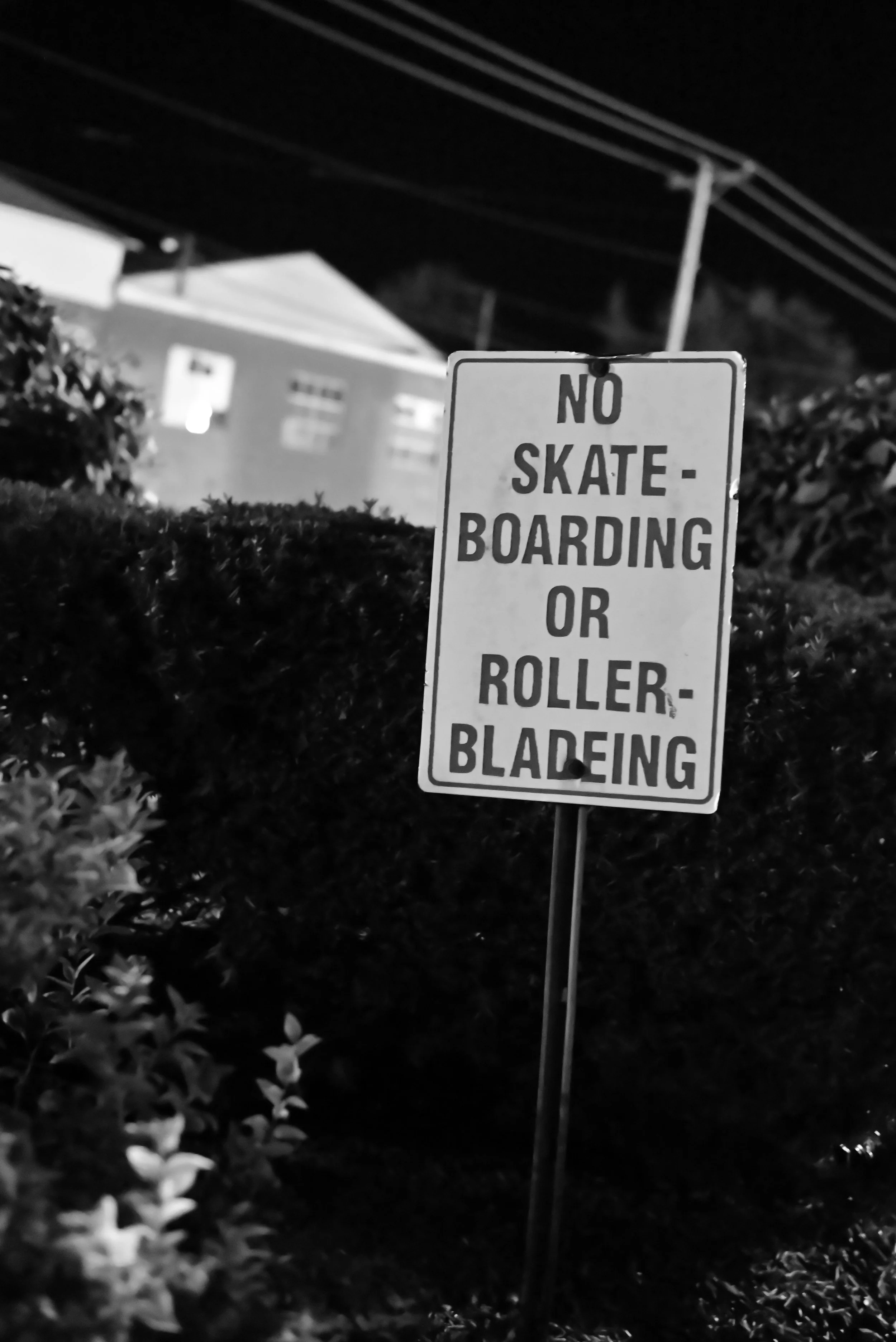 no drinking, no dancing, no skateboarding, no rollerblading