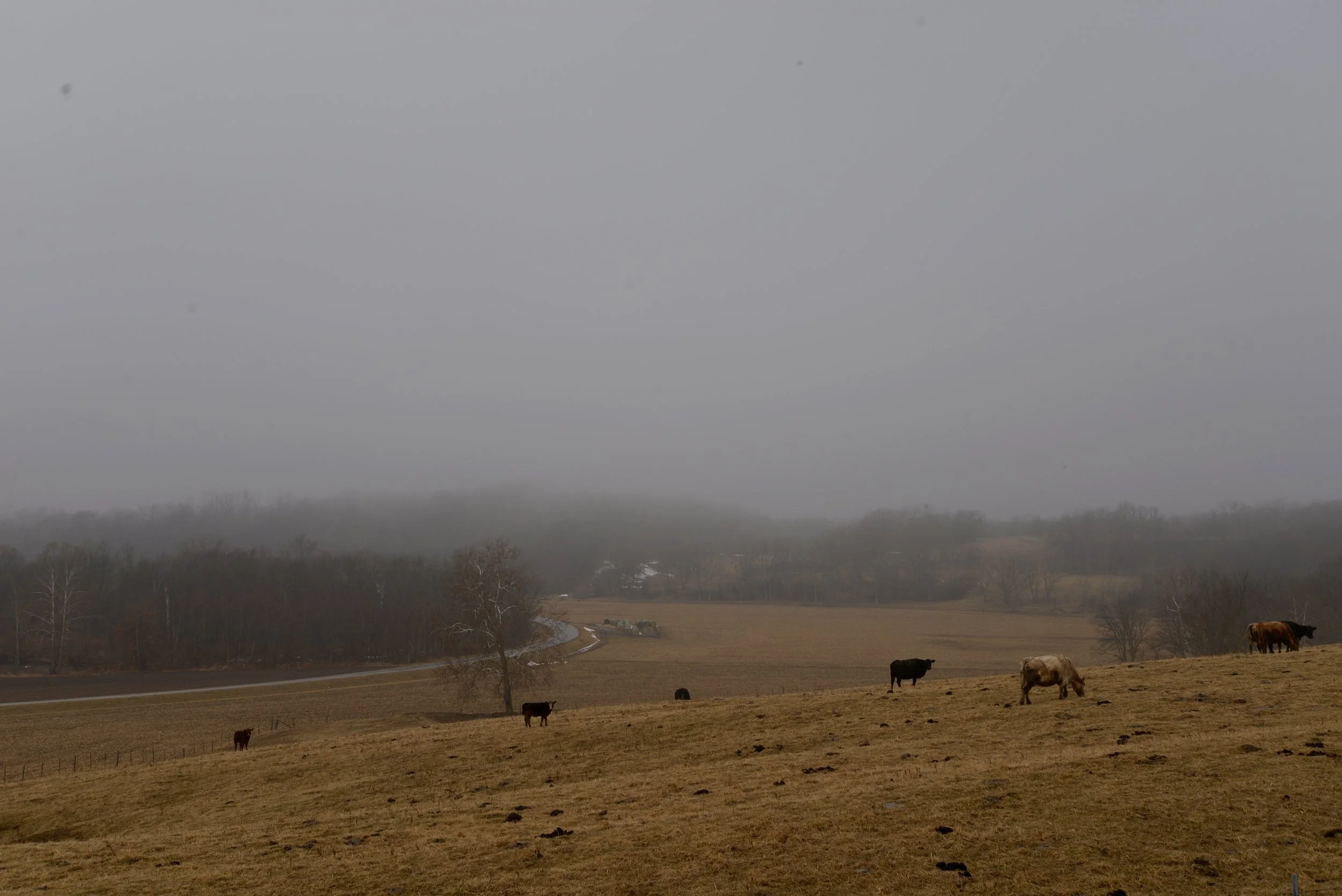 Exeter, Mauvaisterre Valley