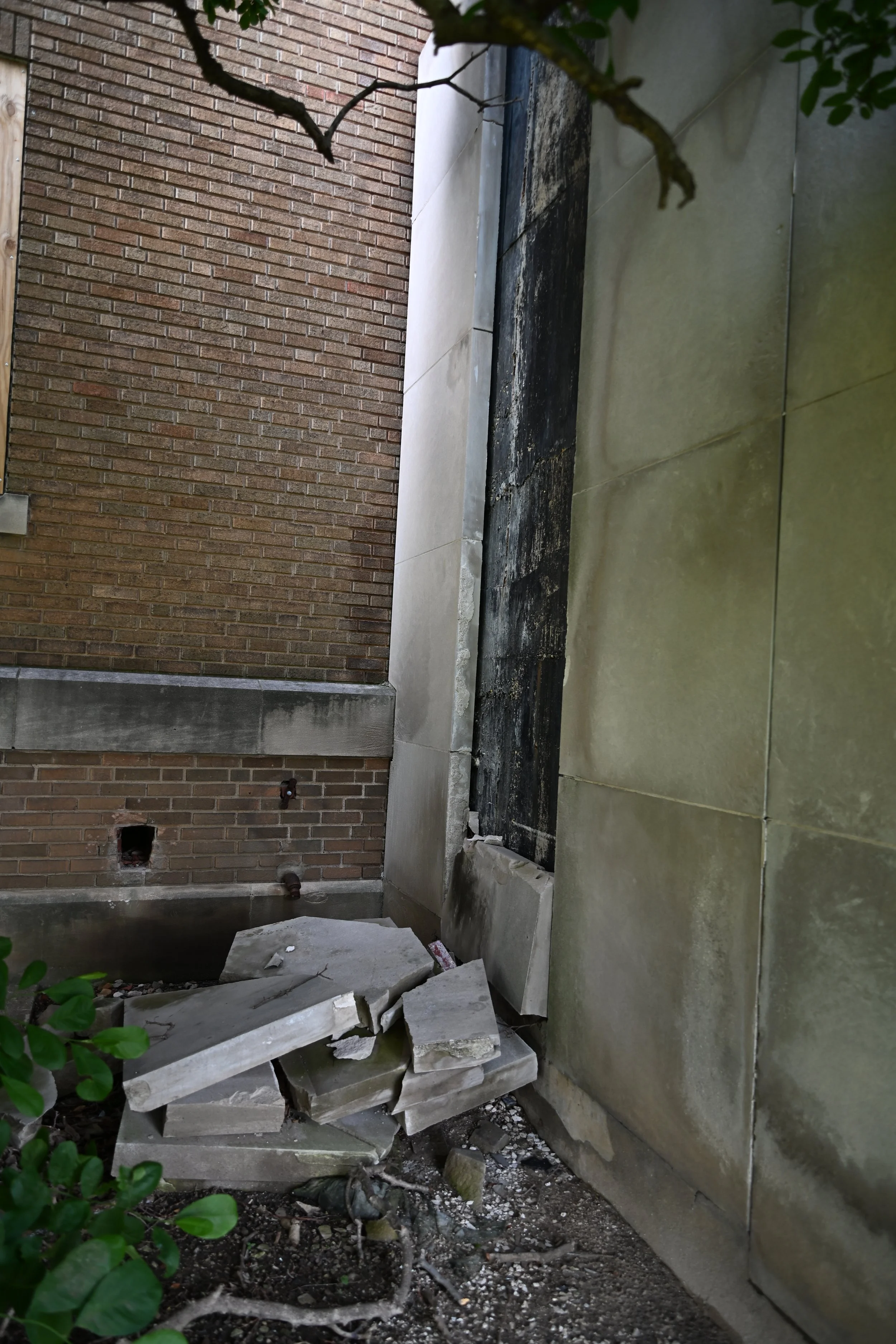 DSC_5316.JPEG
