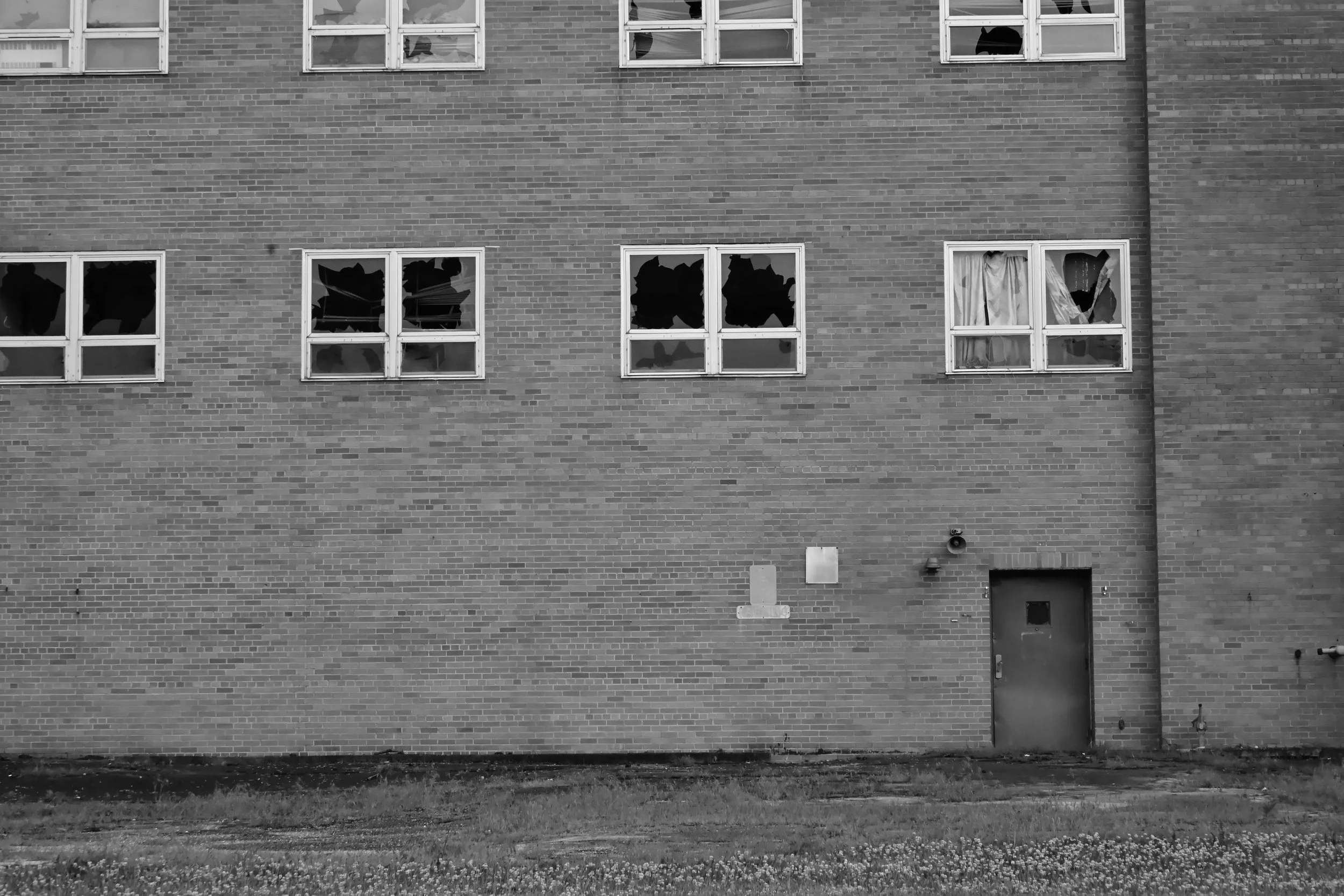 DSC_5096.JPEG