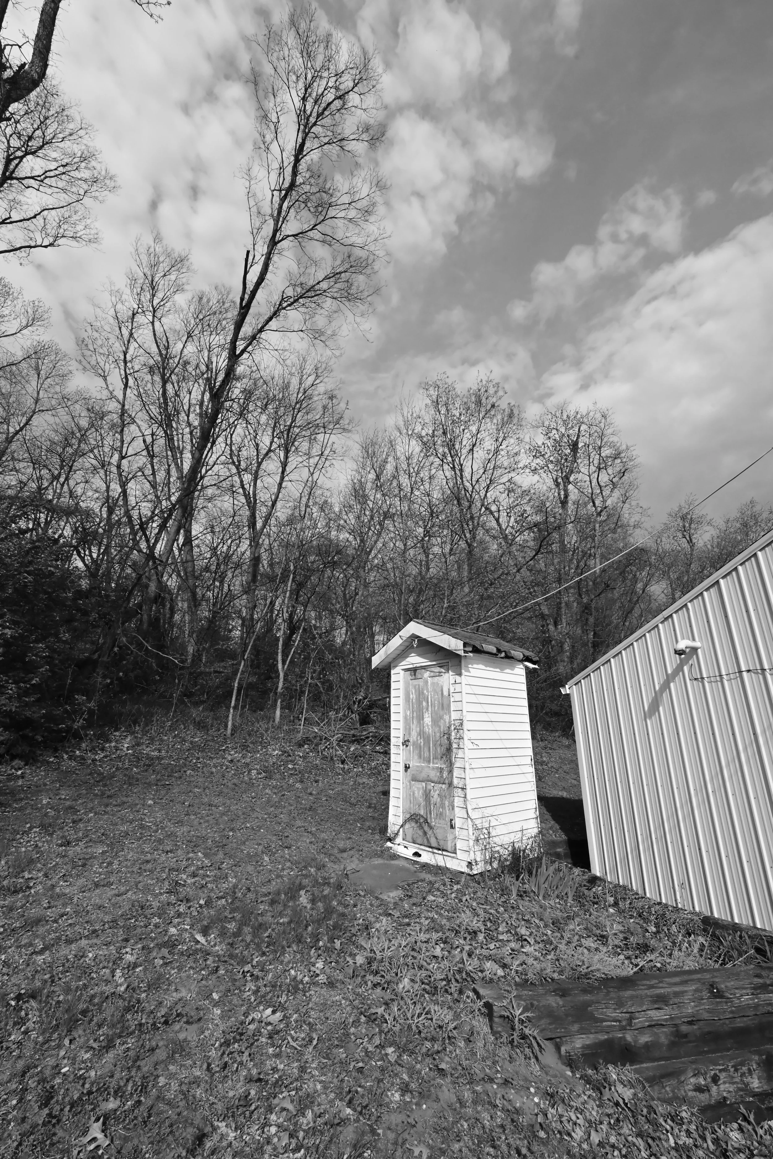 SRBC Outhouse Tree.jpg