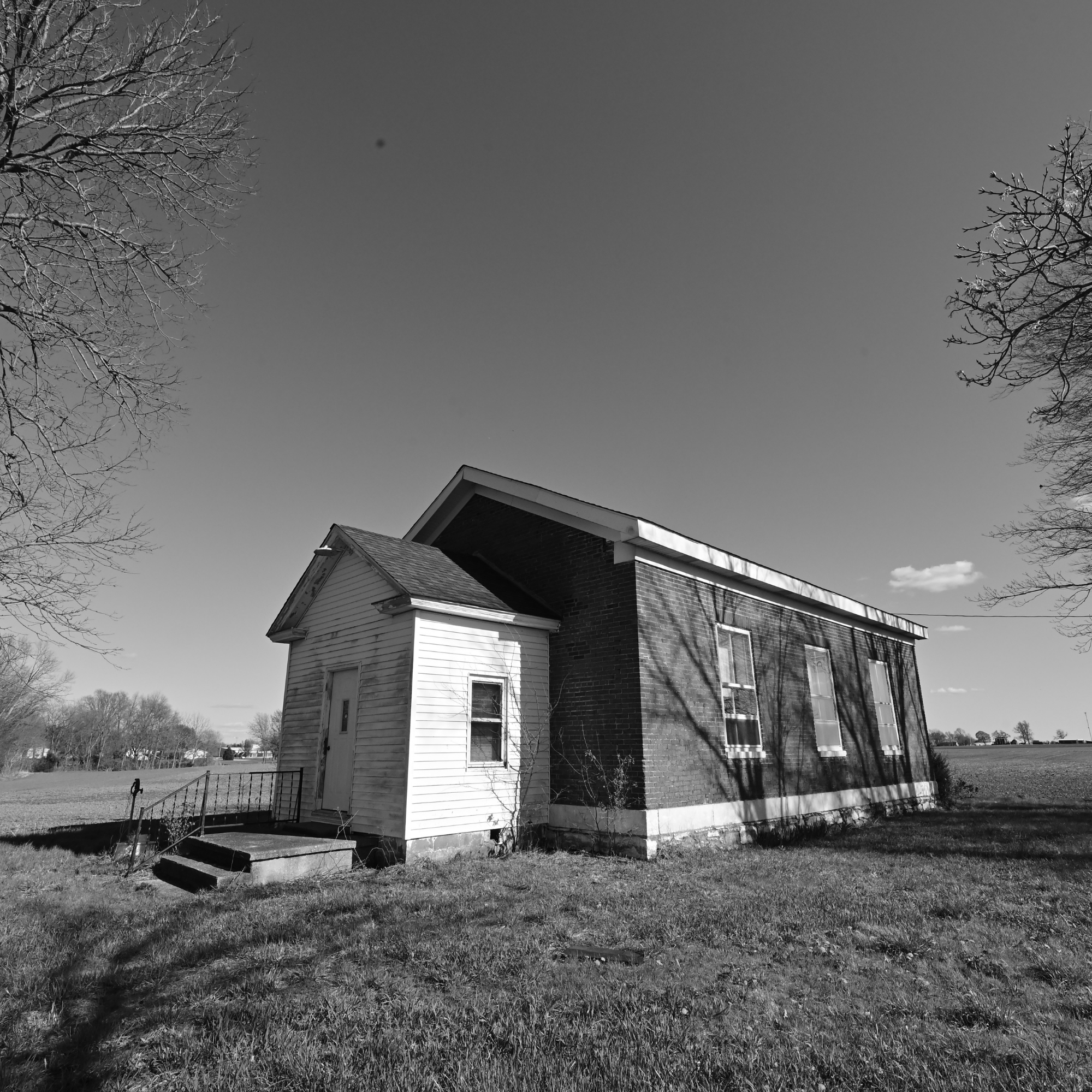 Hardshell Baptist.png