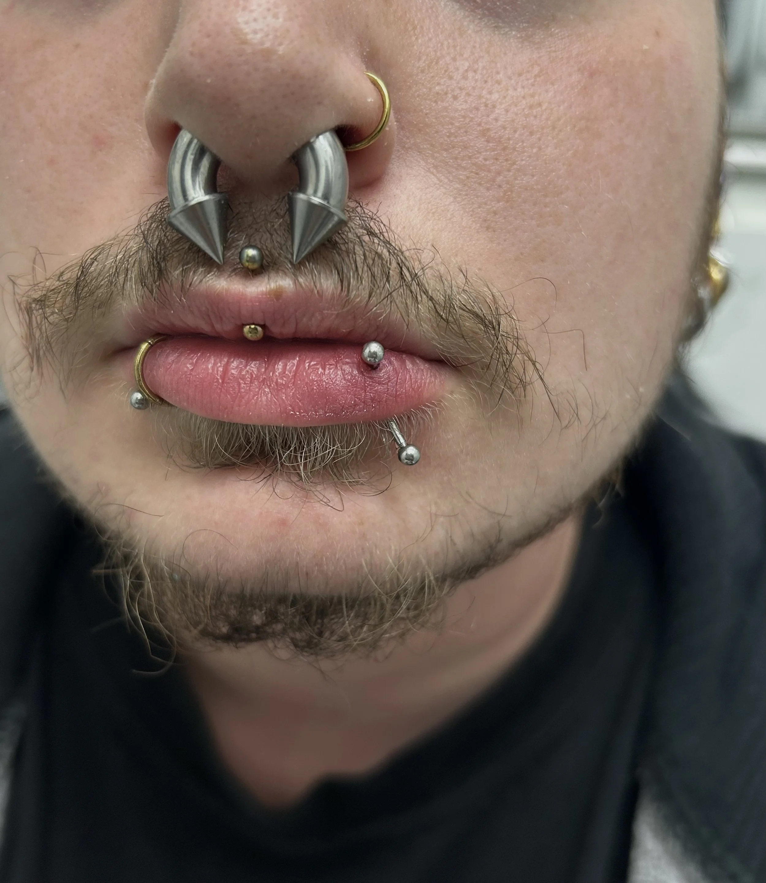 Close-up of a person's nose, mouth, and multiple facial piercings, including a septum ring, a nose hoop, and various lip piercings.