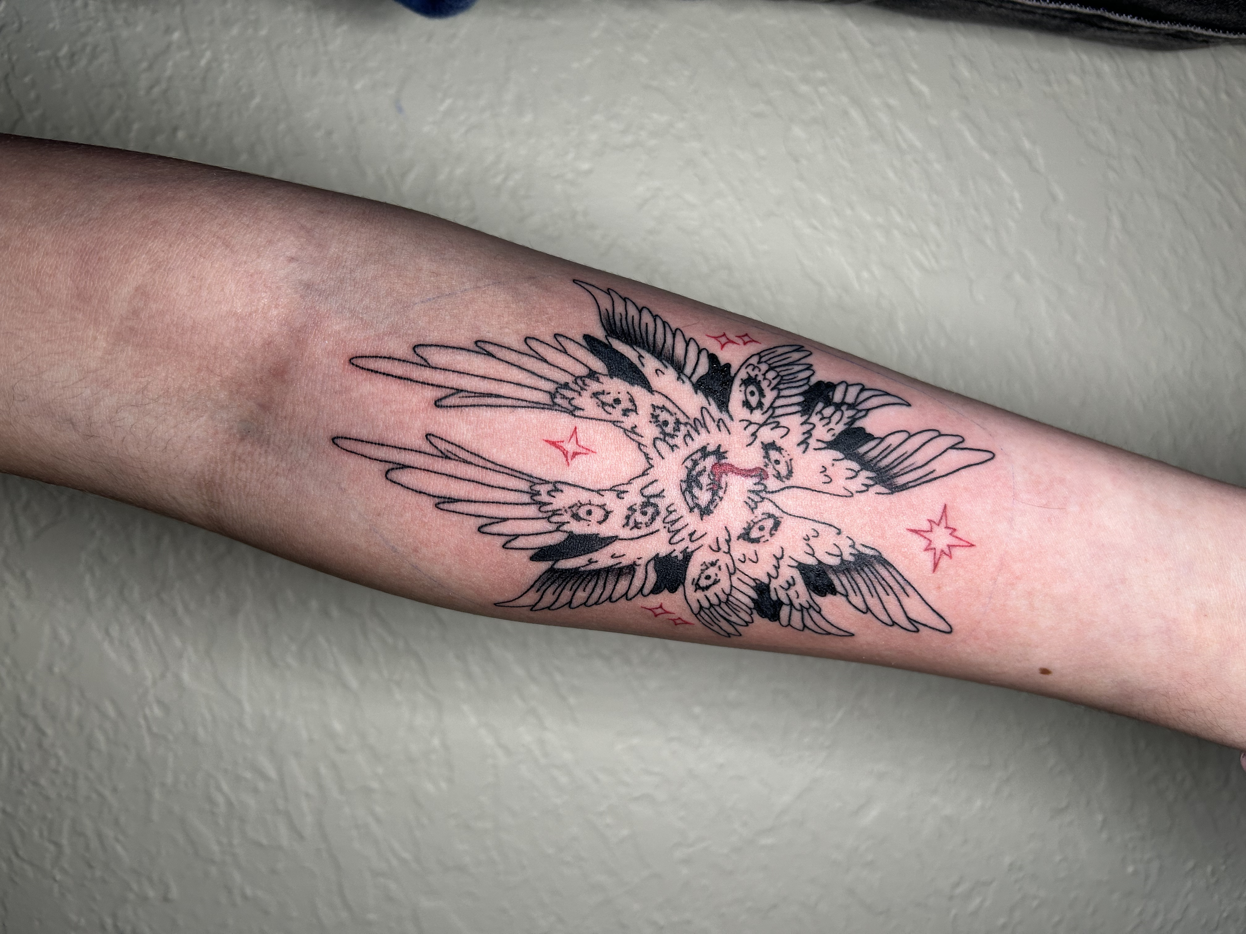Close-up of a person's arm with a tattoo of a bird with detailed feathers and red stars around it.