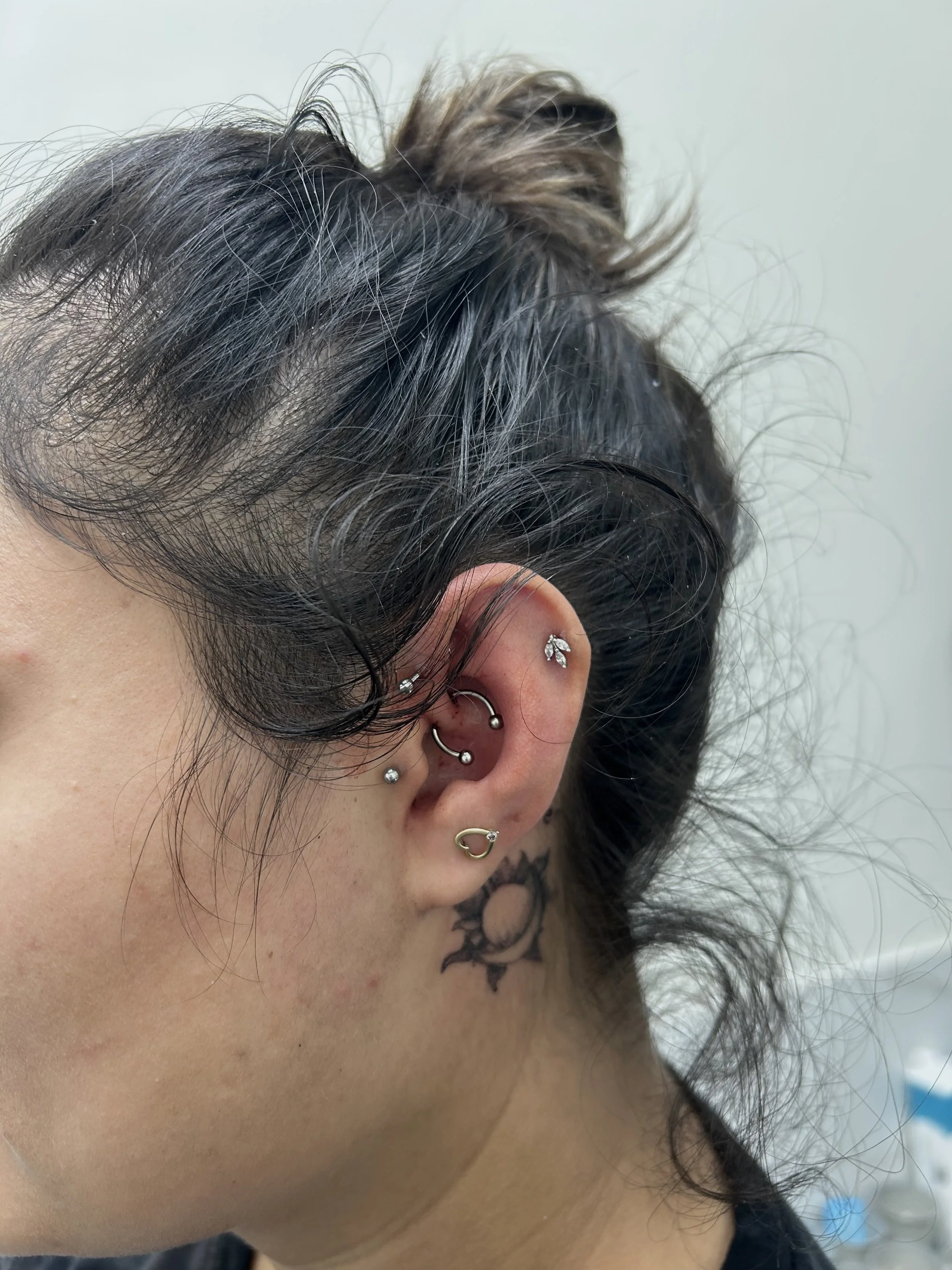 Close-up of a person's ear with multiple piercings, including a helix, daith, conch, and lobe, adorned with various small earrings. They have dark and brown curly hair tied up in a bun and a tattoo of a sun or star shape behind the ear.
