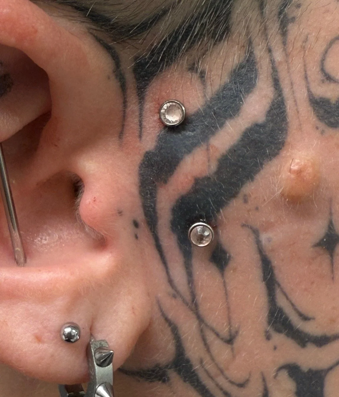 Close-up of a person's ear, tattoos on the face near the ear, and multiple piercings including a helix piercing with a small, round gemstone stud, earlobe piercing with a small metallic ball, and a septum piercing with a horseshoe-shaped ring.