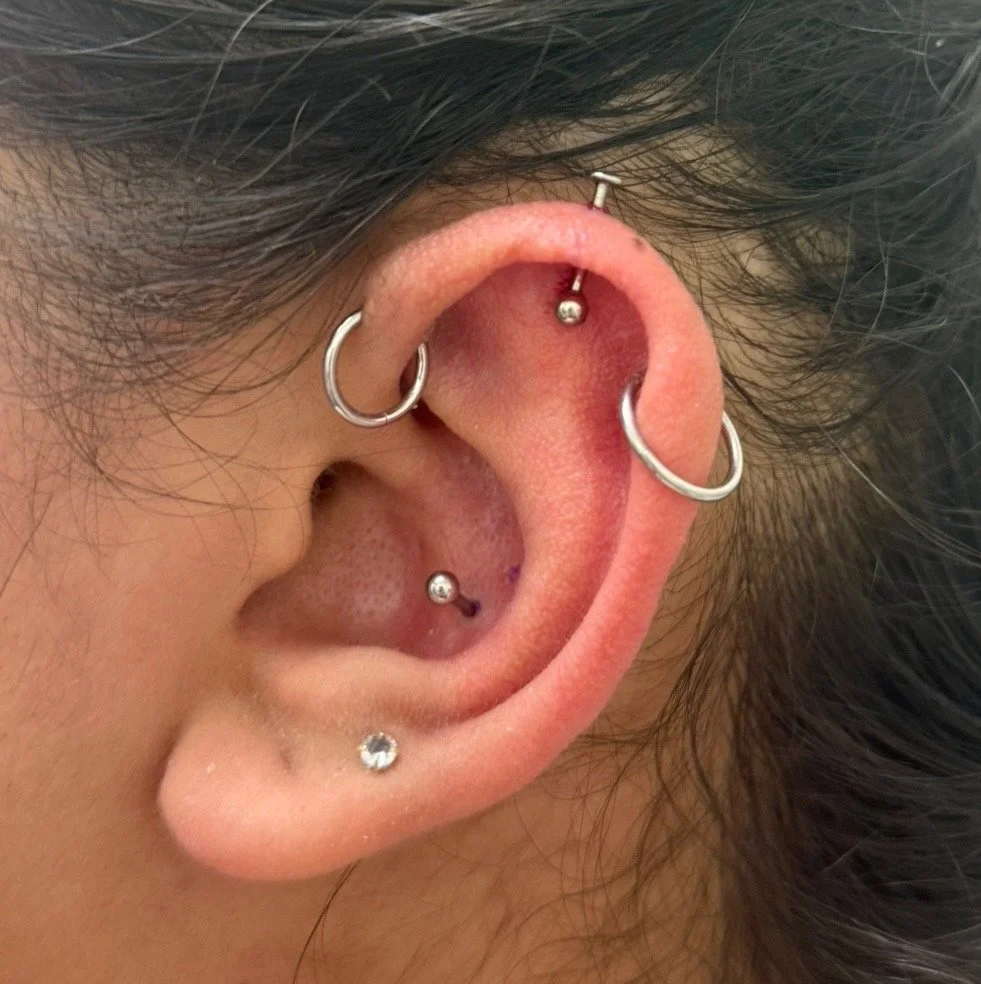 Close-up of a person's ear with multiple piercings, including hoops and studs.